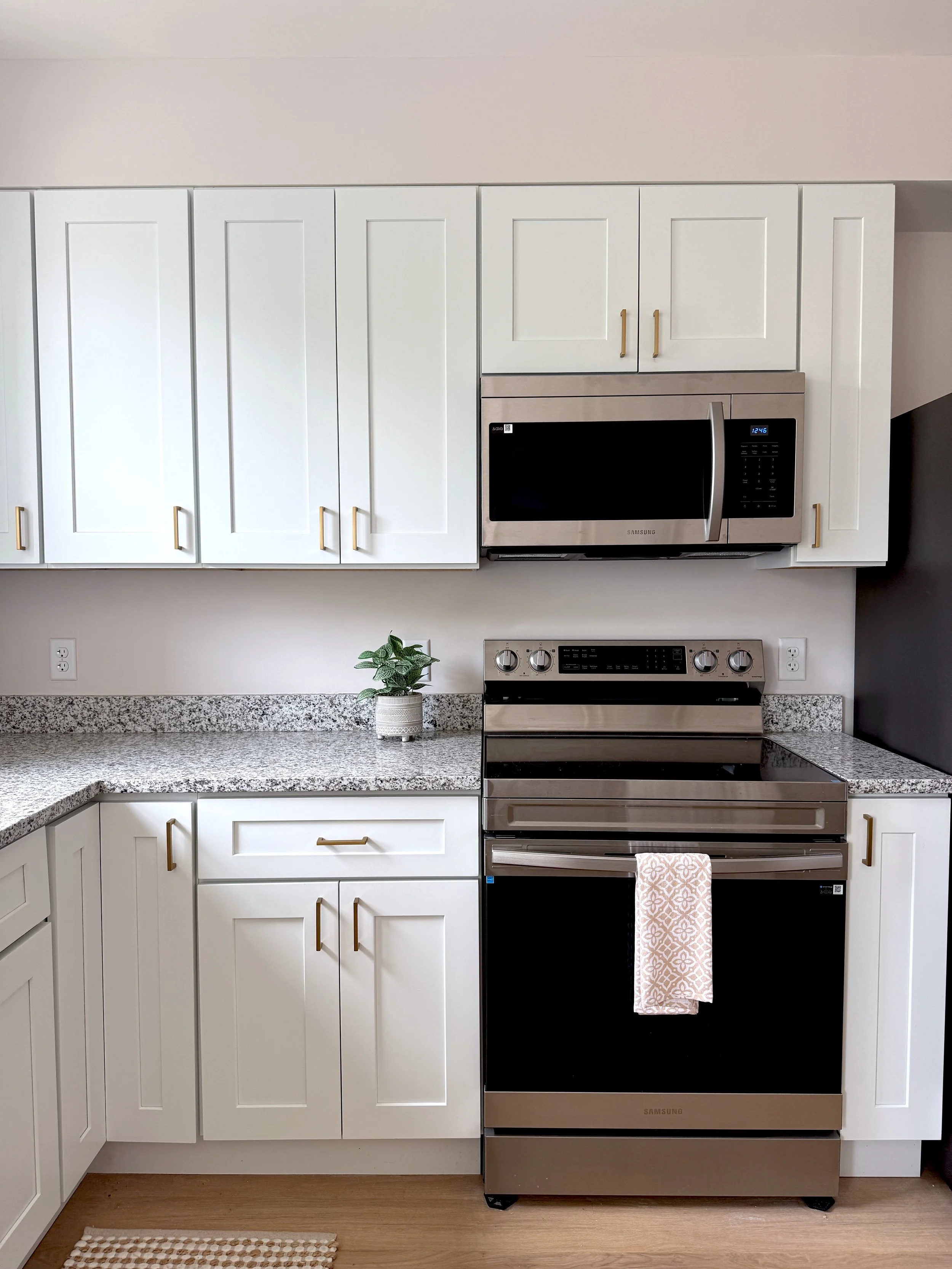 Modern kitchen with white cabinets, granite countertops, stainless steel microwave and stove, a potted plant, and a beige patterned towel hanging on the oven handle.