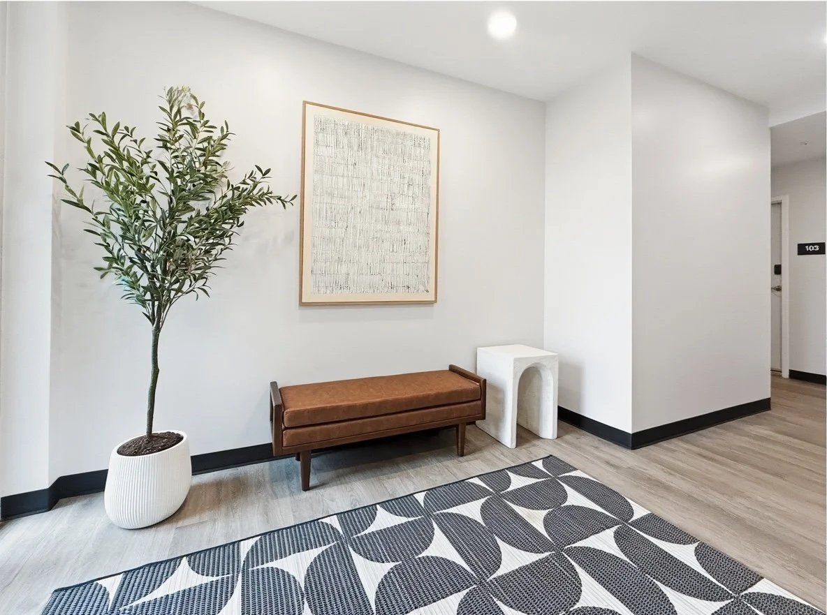 Modern hallway with a large potted plant, a brown bench, a framed abstract art piece, a white side table, and a patterned area rug, with white walls and wood flooring.