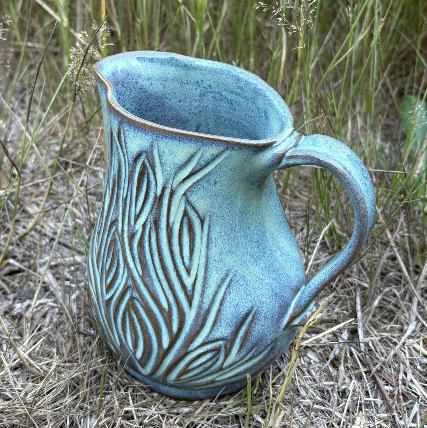 Med_Pitcher_3.JPG