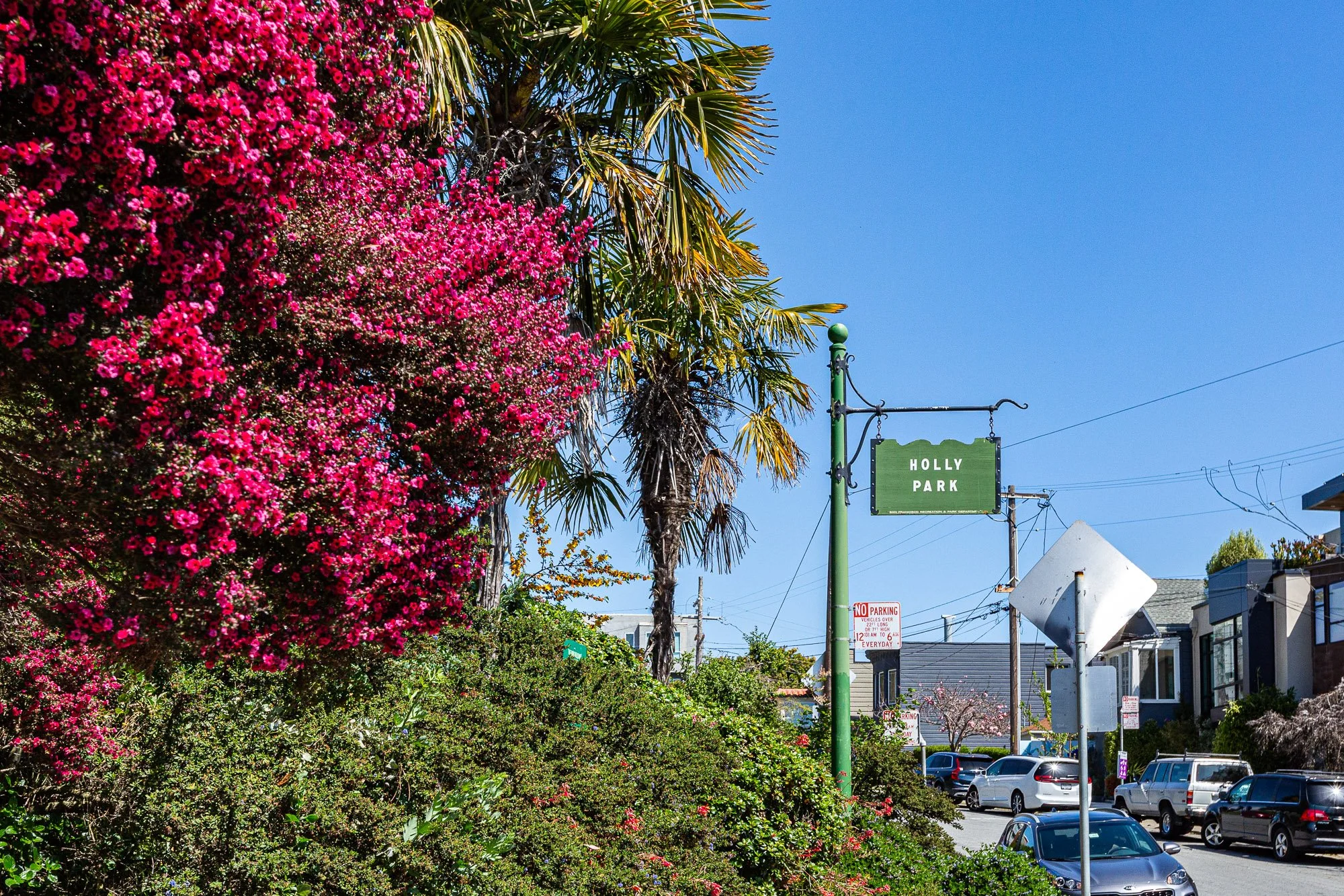 Street view in a neighborhood with pink flowering bushes, palm trees, parked cars, and a sign that reads 'Holly Park' against a clear blue sky.