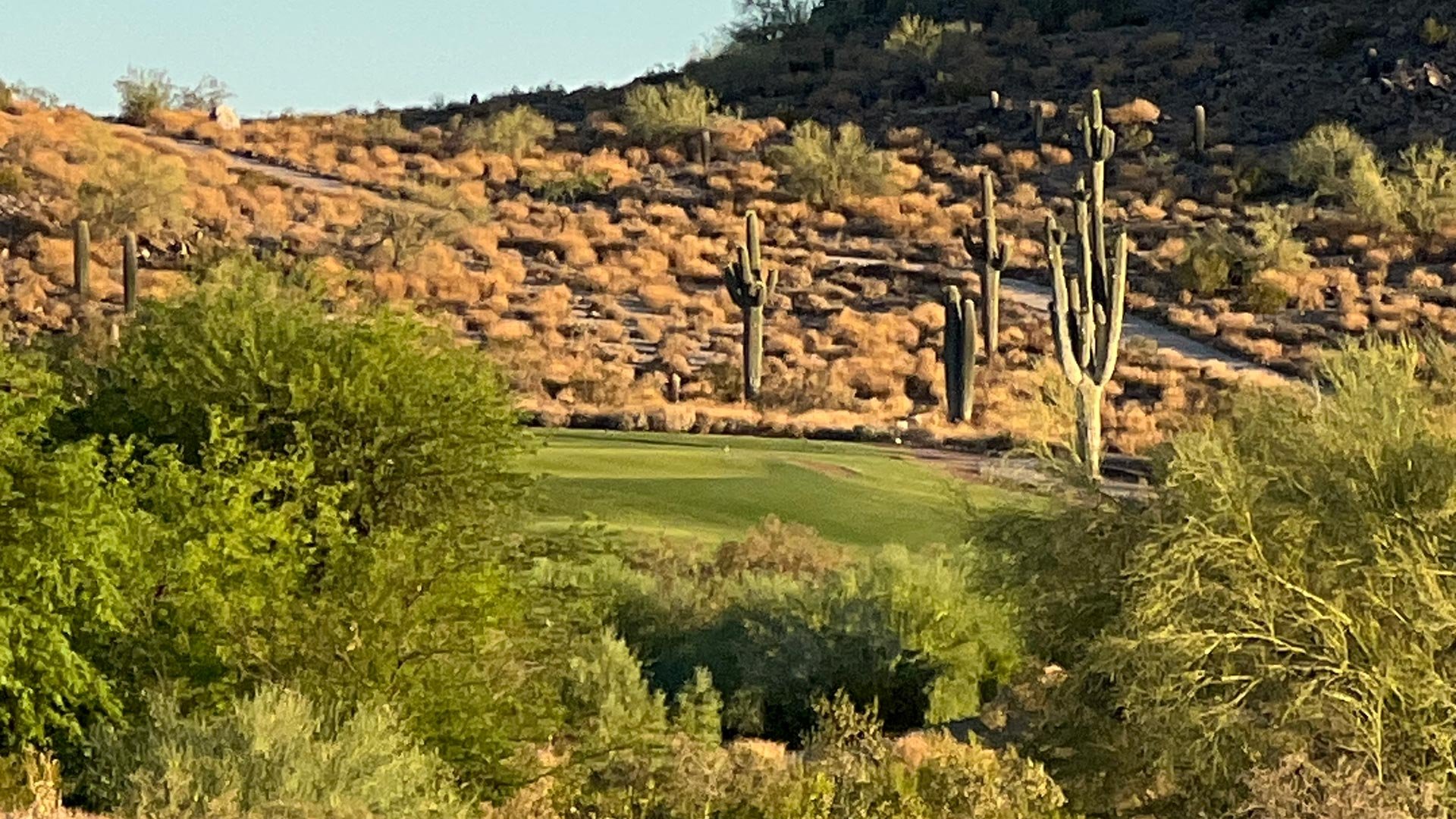 Landscape view of a golf course in a desert area with green grass and cactus plants on a hillside.