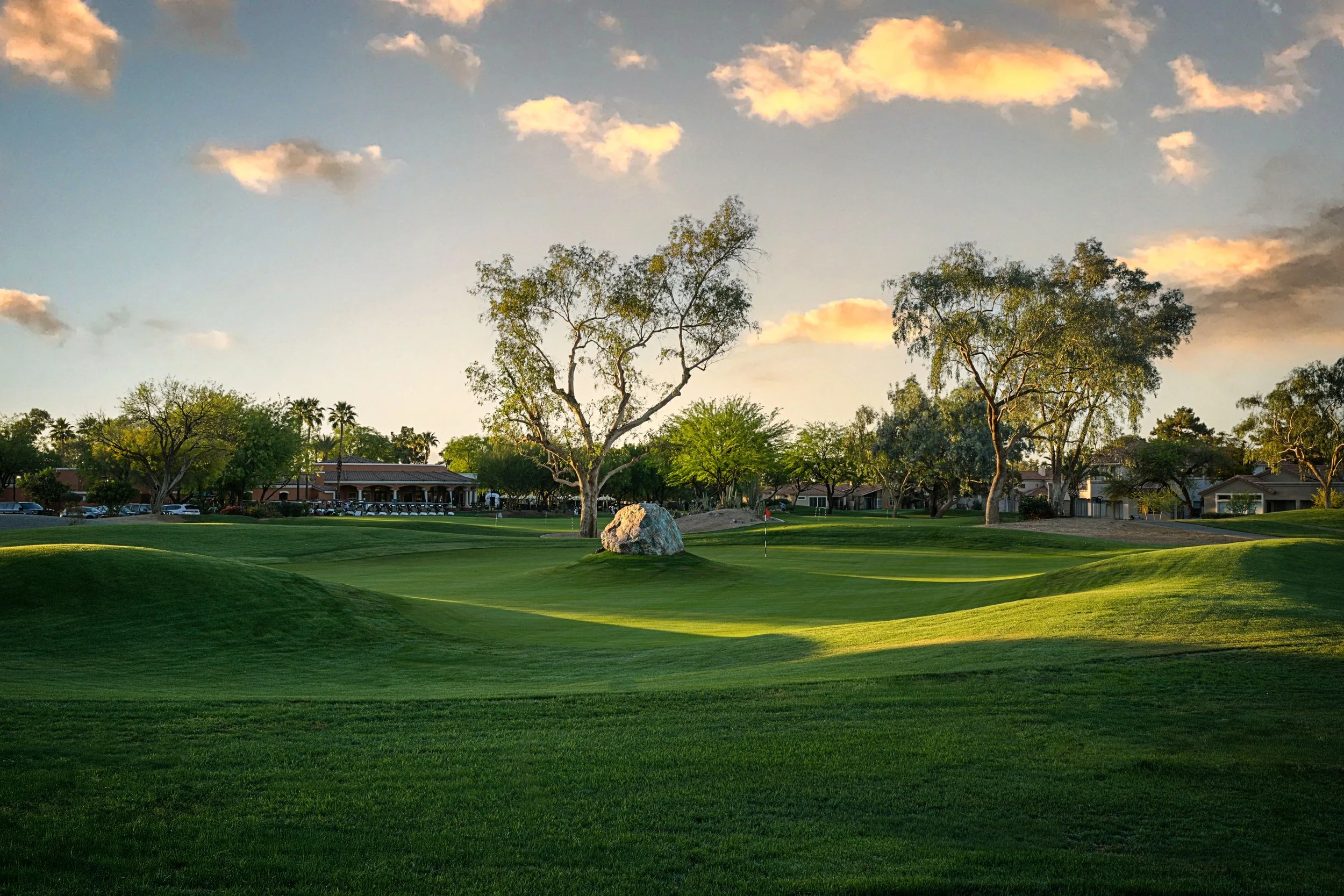 A golf course at sunset with well-maintained green grass, three large trees, a rock, and a flag in the distance, with houses and cars visible in the background under a partly cloudy sky.