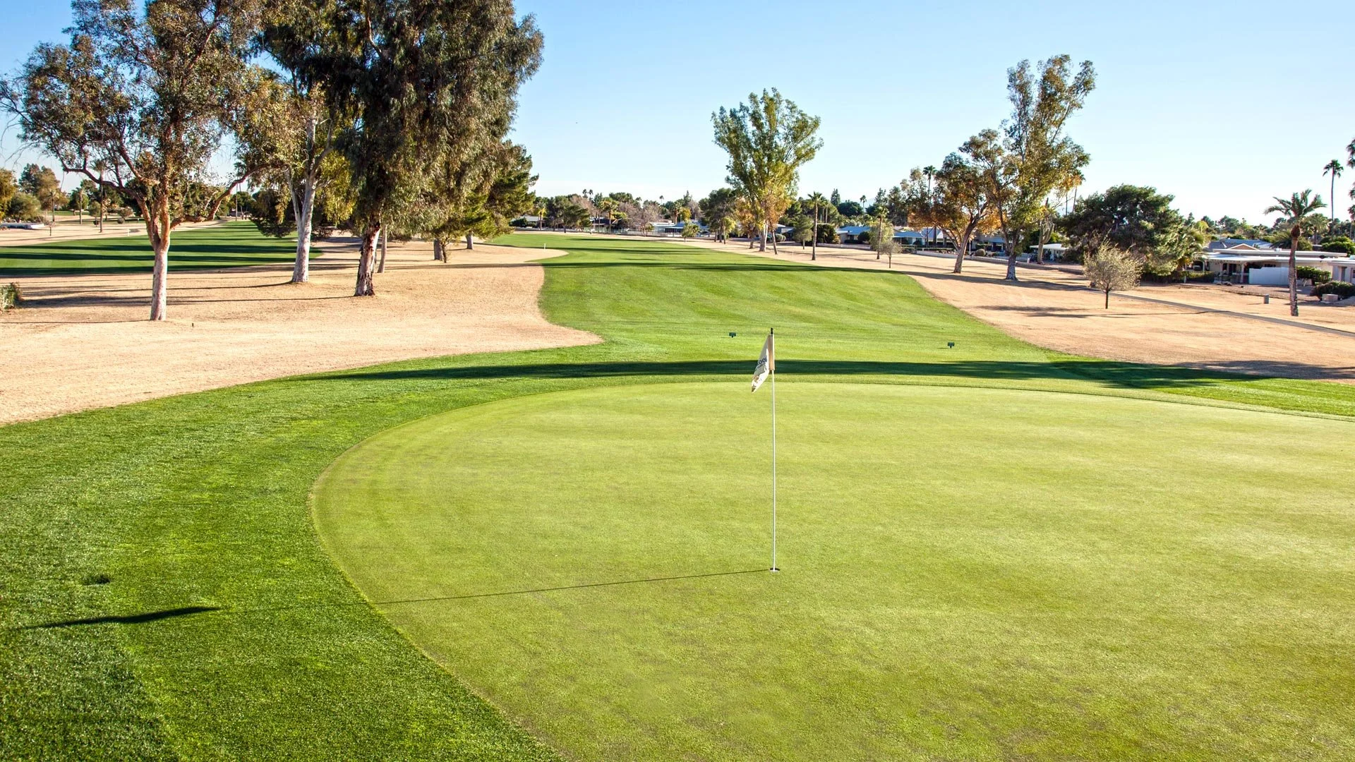 A golf course putting green with a flagstick, surrounded by well-maintained grass and trees, under a clear blue sky.