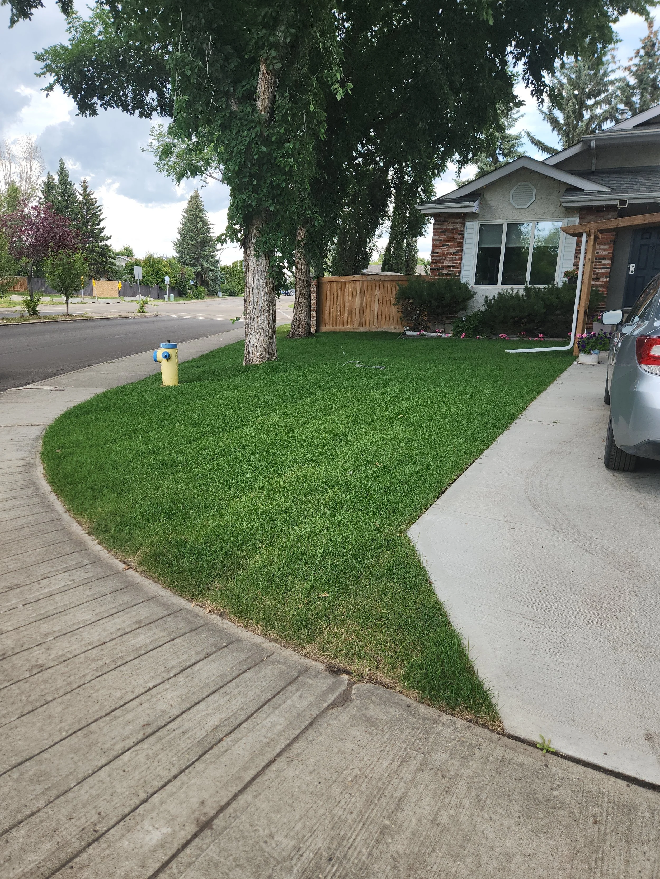 Residential neighborhood scene with well-maintained grassy lawn, sidewalk, trees, a house with brick exterior, parked car, and a fire hydrant.