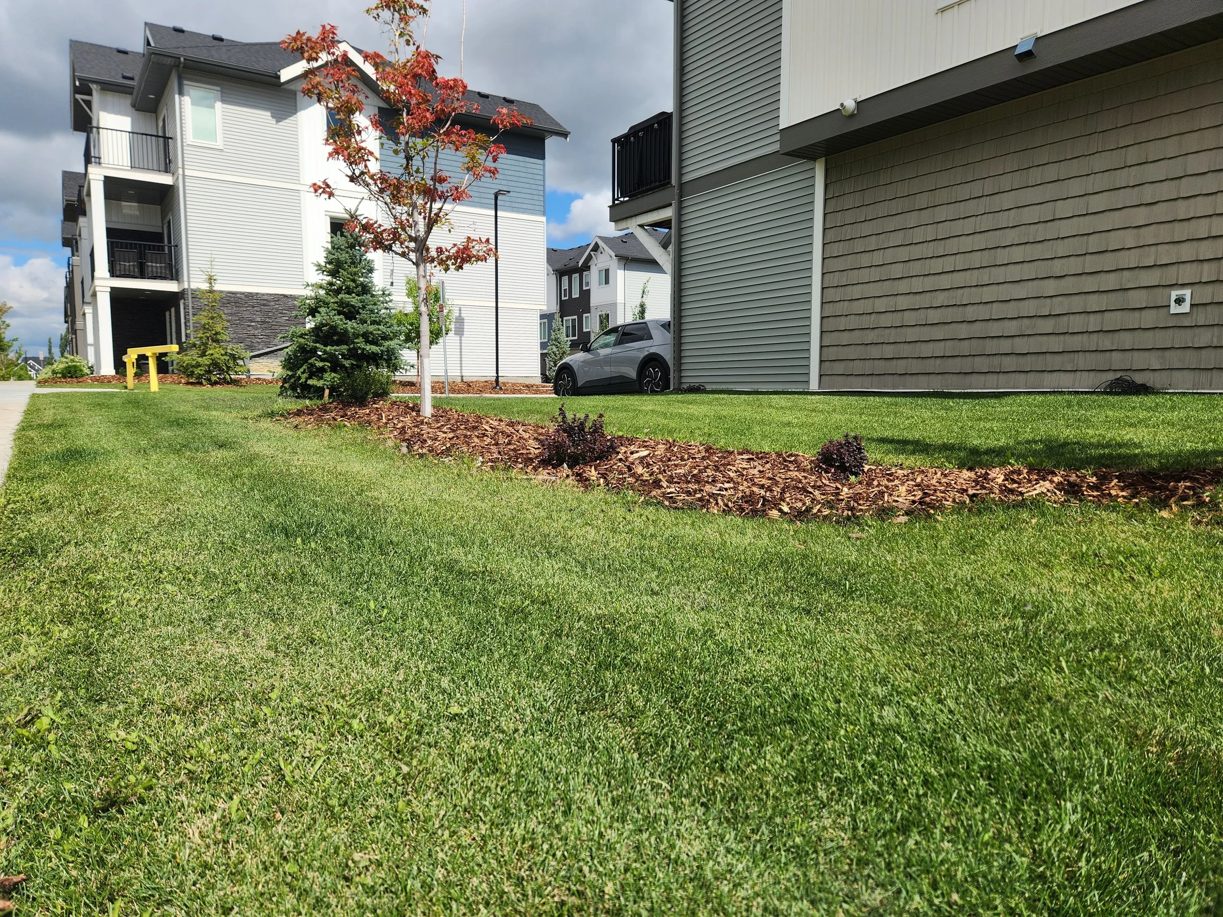 A landscaped area with green grass, small trees, and shrubs next to multi-story residential buildings with balconies and exterior siding.