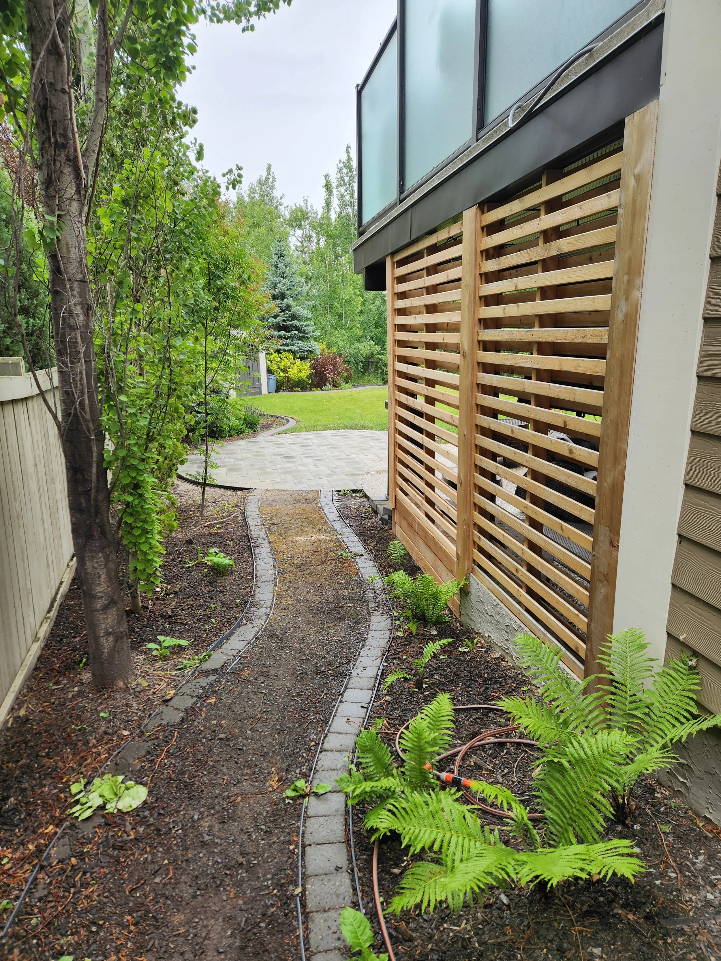 A newly constructed backyard pathway with small bricks along the border, winding through a garden with green plants and trees, leading to a grassy yard and patio area.