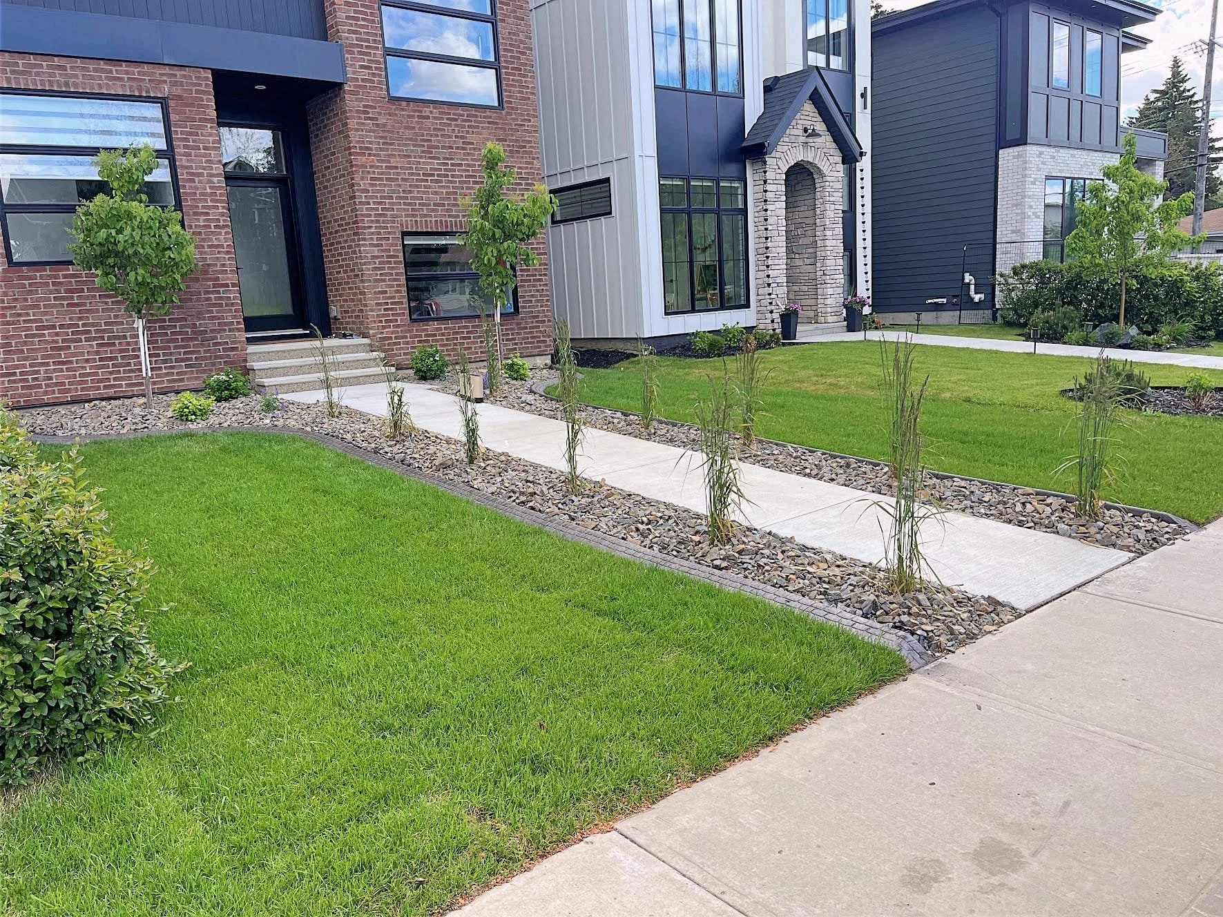 Modern residential front yard with a concrete sidewalk, green lawn, young trees, shrubs, and a rocky landscaping border leading to patio steps.