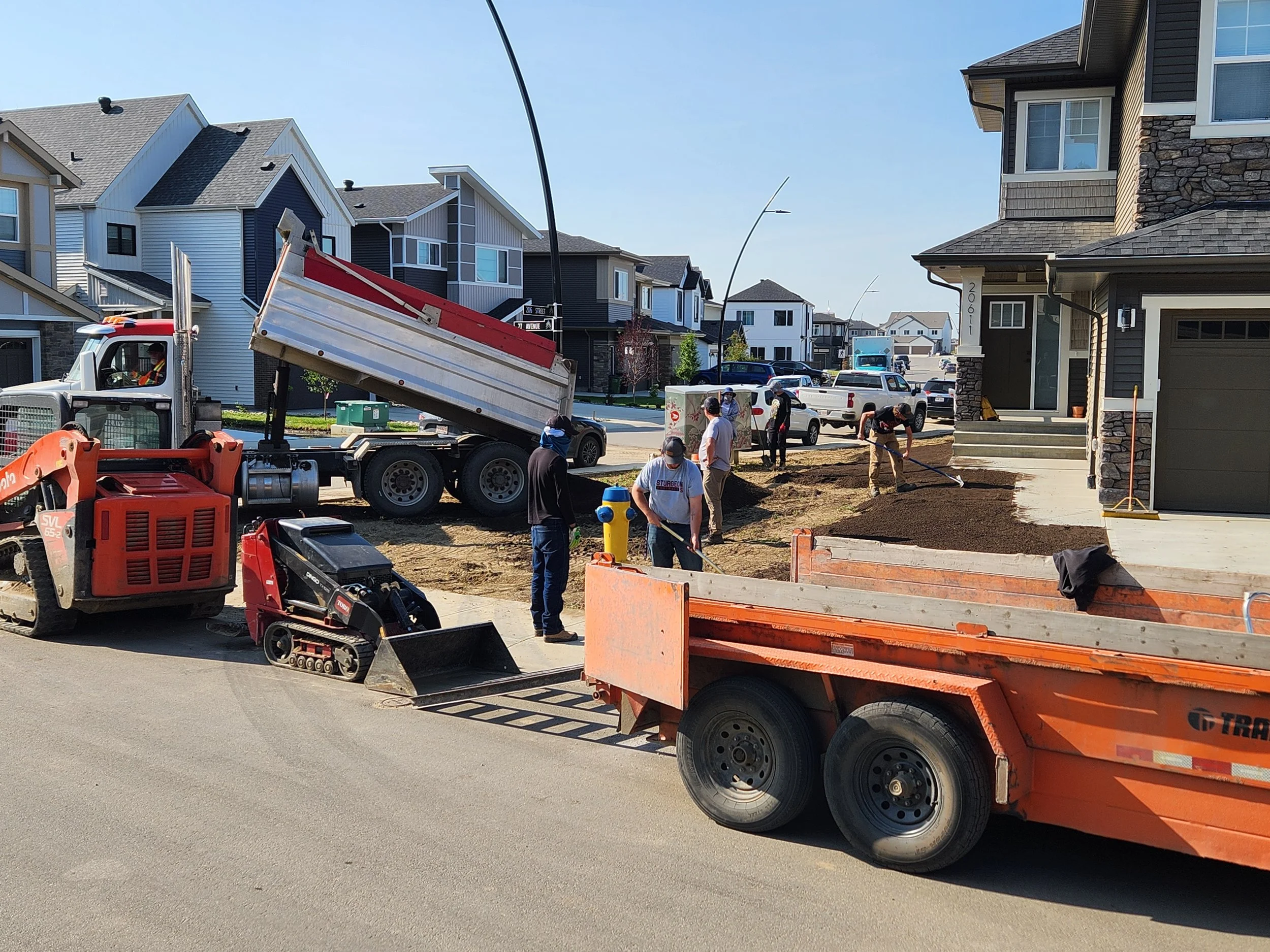 Construction workers are laying dirt in front of a house, using shovels, with construction equipment and trucks nearby, in a residential neighborhood.