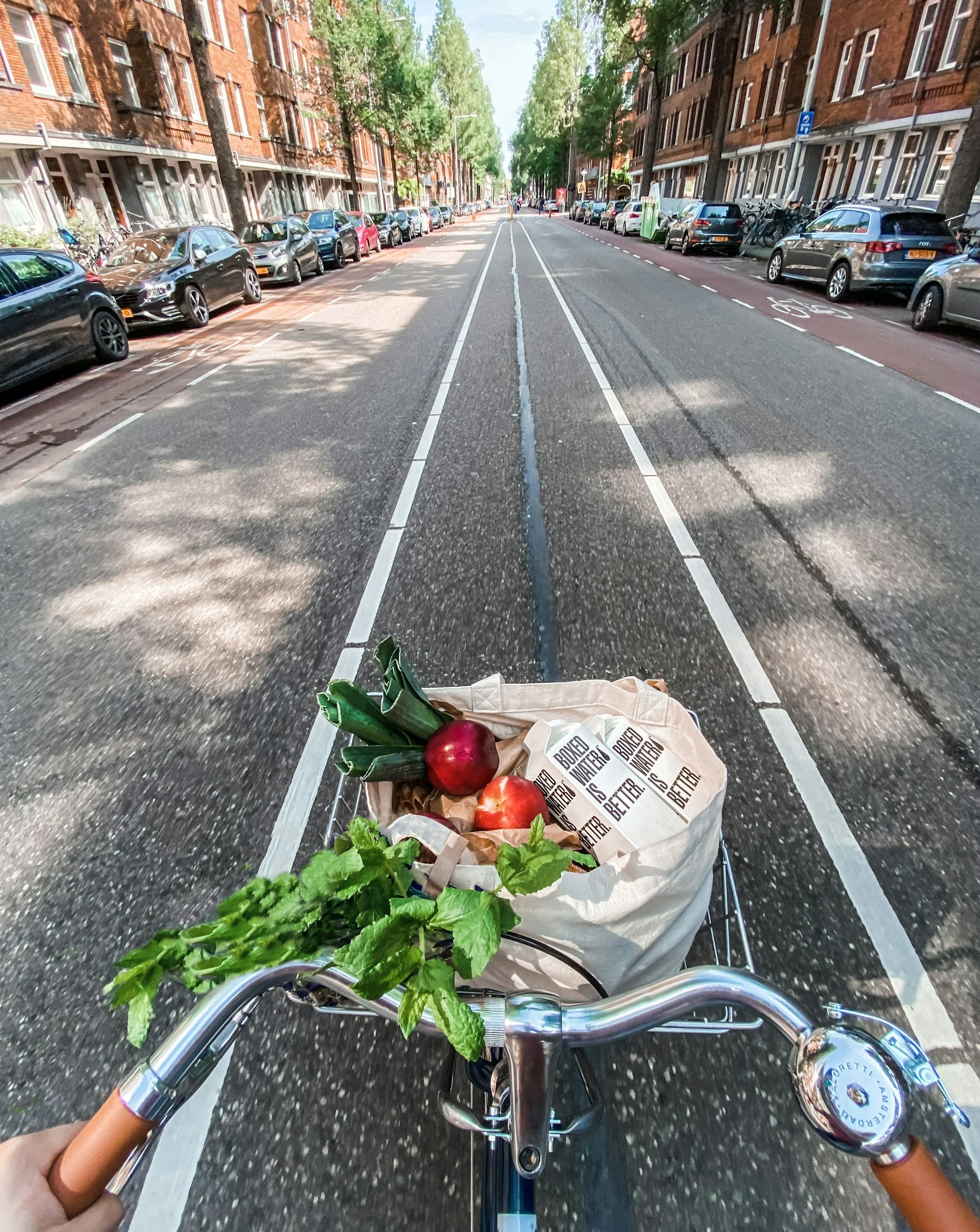 First-person view of a person riding a bicycle on a city street, with a basket of fresh vegetables and herbs including lettuce, tomatoes, and leeks placed on the front basket. The street is lined with parked cars and brick apartment buildings, with trees providing shade. The road has bike lanes marked on the asphalt.