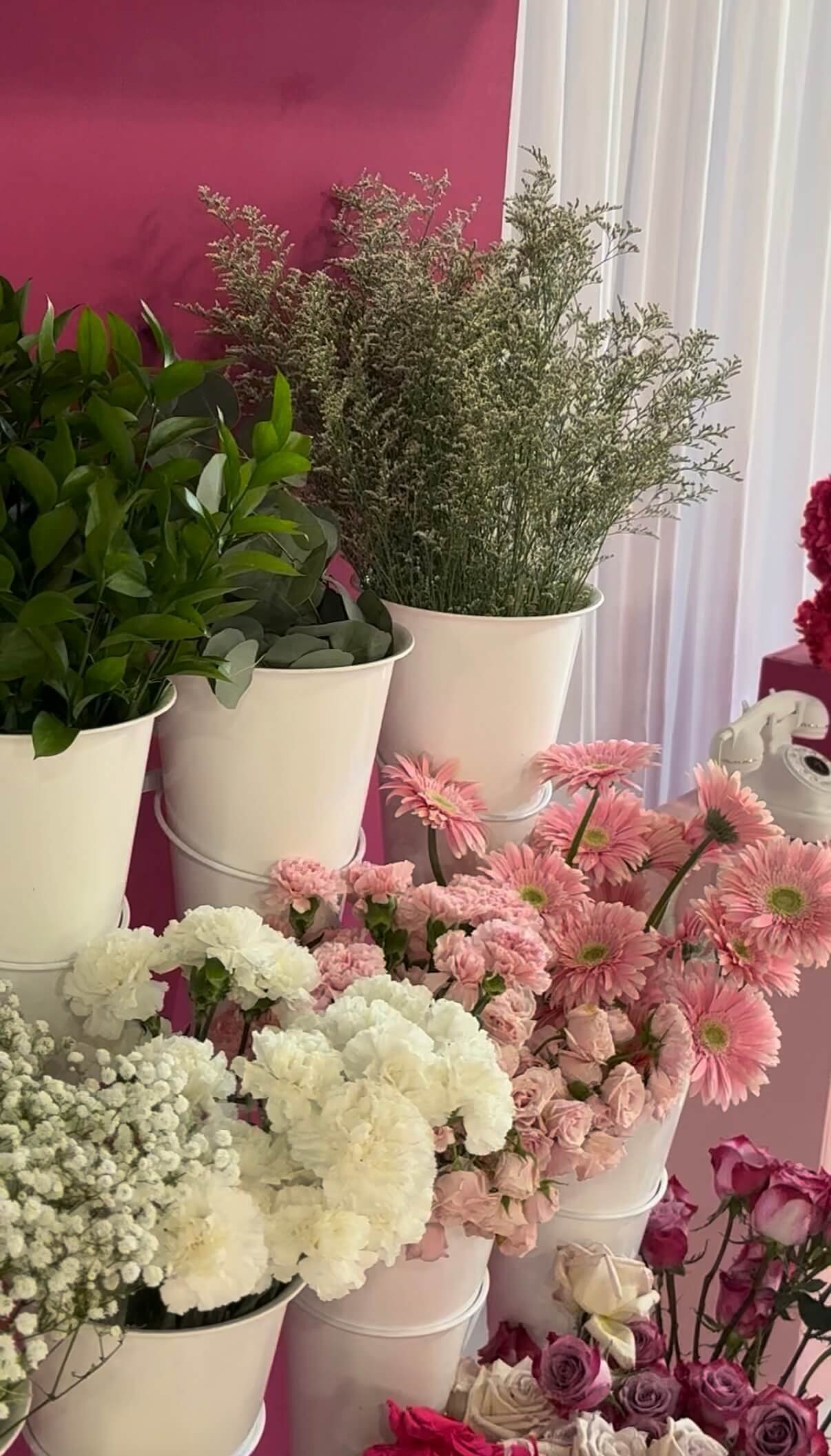 Various potted flowers, including pink and white carnations, pink gerbera daisies, and roses, arranged on a table with a pink wall and white curtains in the background.