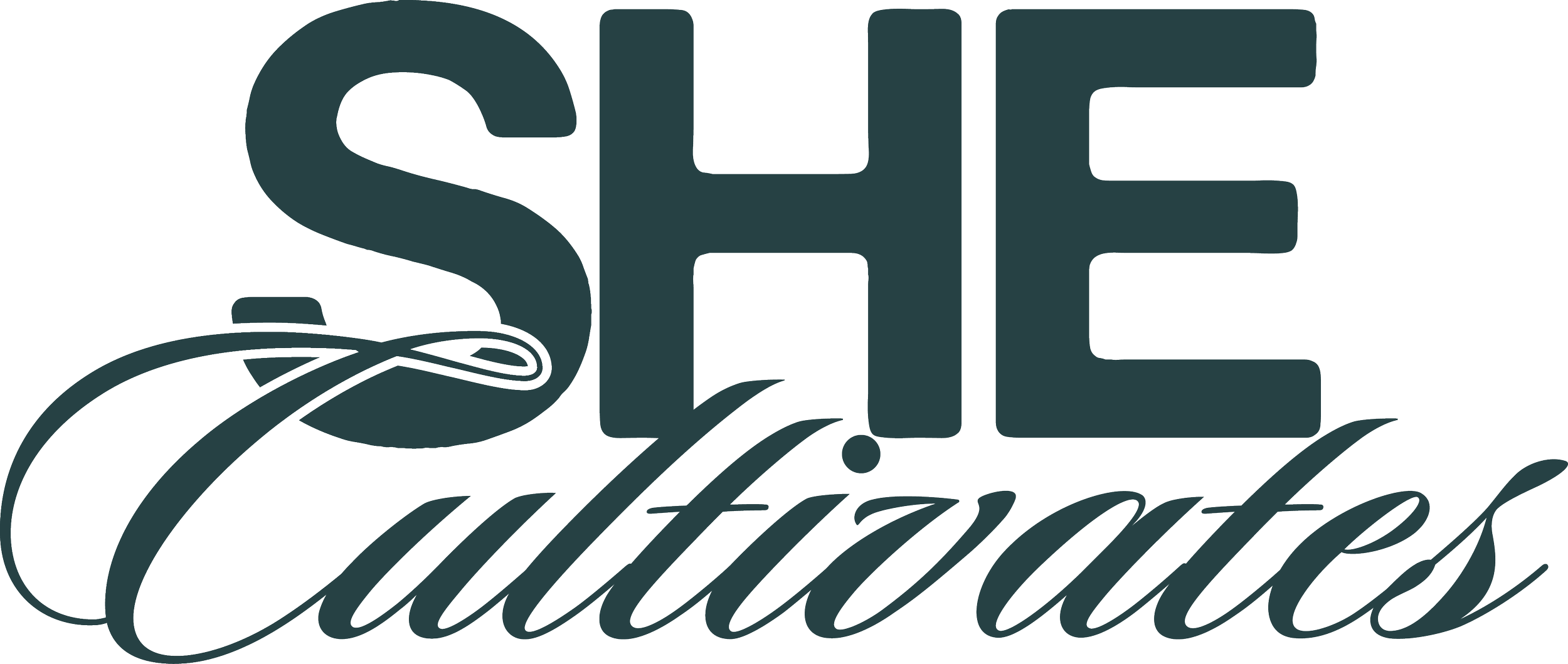 Logo for Side Cultivation featuring bold uppercase letters 'SIDE' with an ornate, curved line underneath, followed by the word 'Cultivation' in cursive script.