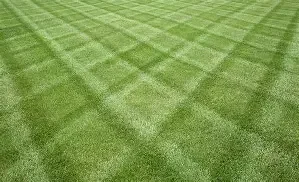 Mowing