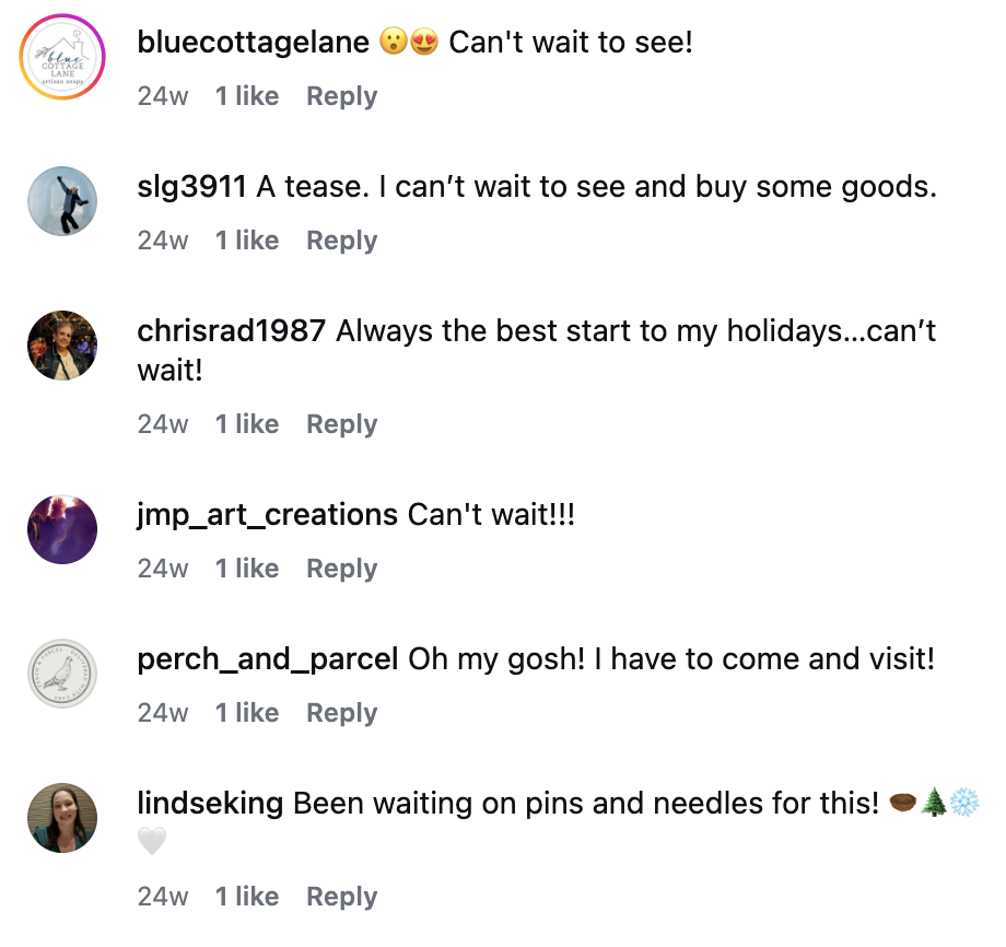 Comments expressing excitement and anticipation for an upcoming visit or holiday, mentioning pins, needles, and holiday decorations like a Christmas tree and snowflake.