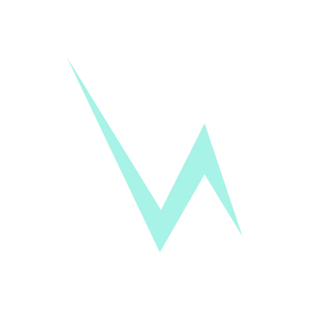 Stylized lightning bolt symbol in light blue with the words 'Energy Zap' above in black