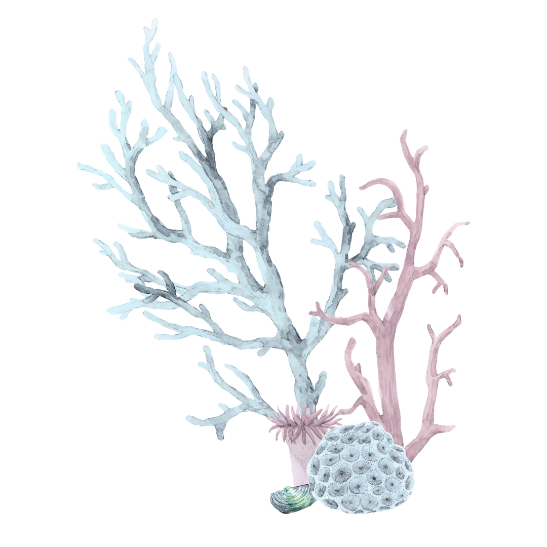 Watercolor illustration of coral branches with a starfish and a sea sponge at the base.