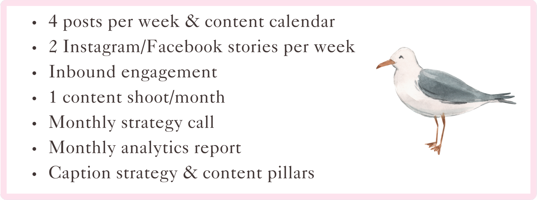 A presentation slide outlining a content strategy including posts per week, stories, engagement, content shoots, strategy calls, analytics, and captioning, with a watercolor illustration of a seagull on the right.