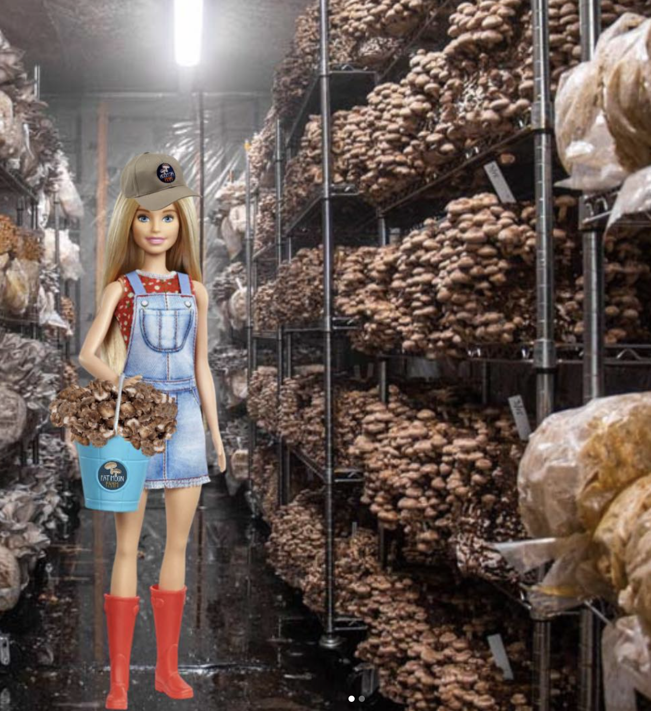 A Barbie doll holding a bucket of mushrooms stands in a mushroom farm or greenhouse, surrounded by shelves filled with clusters of mushrooms.