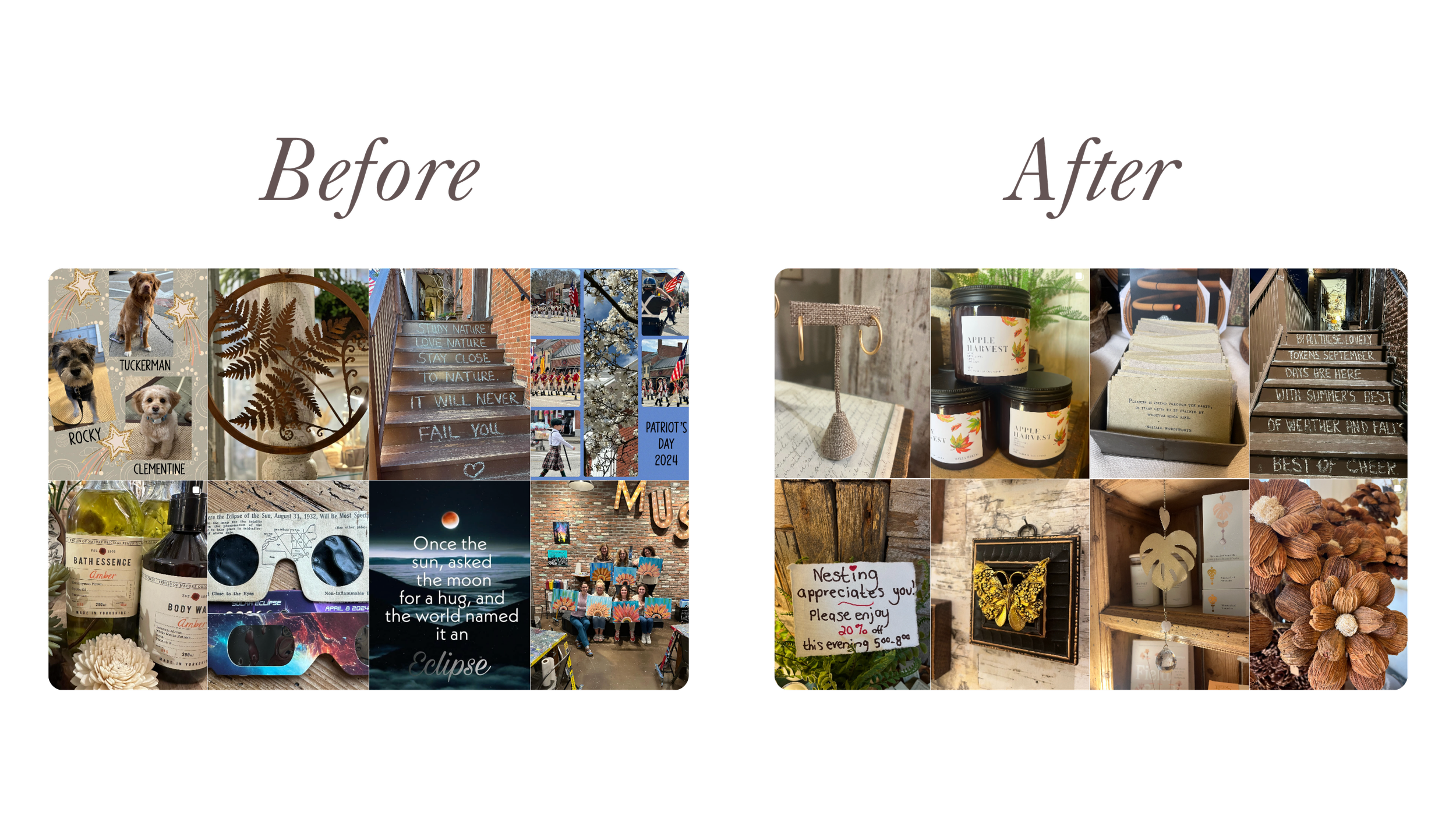 Collage of various photos including dogs named Tucker and Rocky, leaves, a staircase with a quote, a protest, jars of apple harvest, and multiple small items on shelves, with a black background and