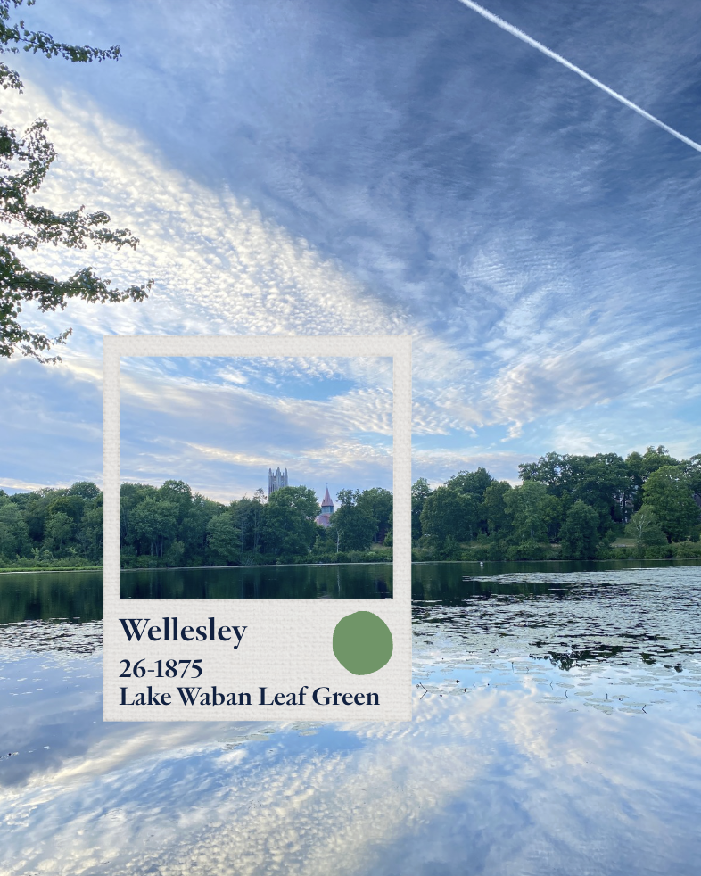 A lake with trees along the shoreline and a church or castle in the distance under a partly cloudy sky with a jet trail.