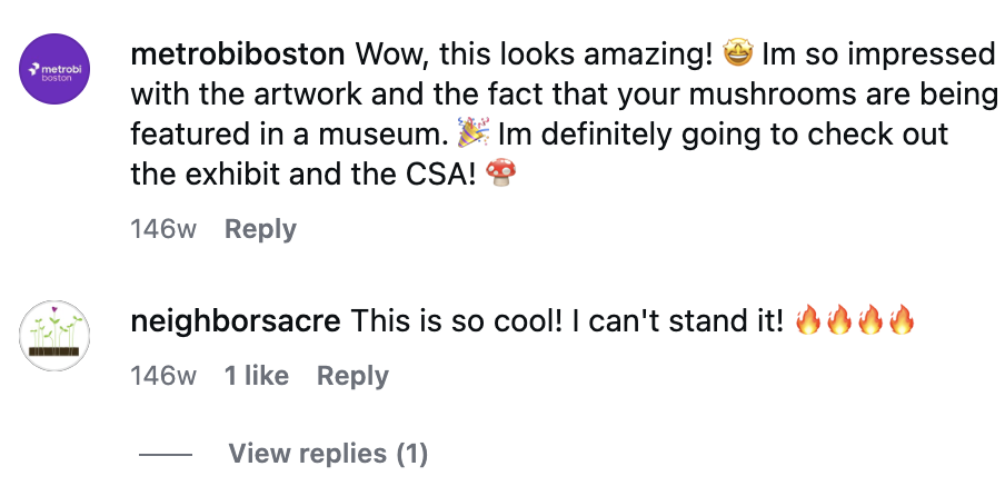 Screenshot of Instagram comments about an artwork featuring mushrooms displayed in a museum.