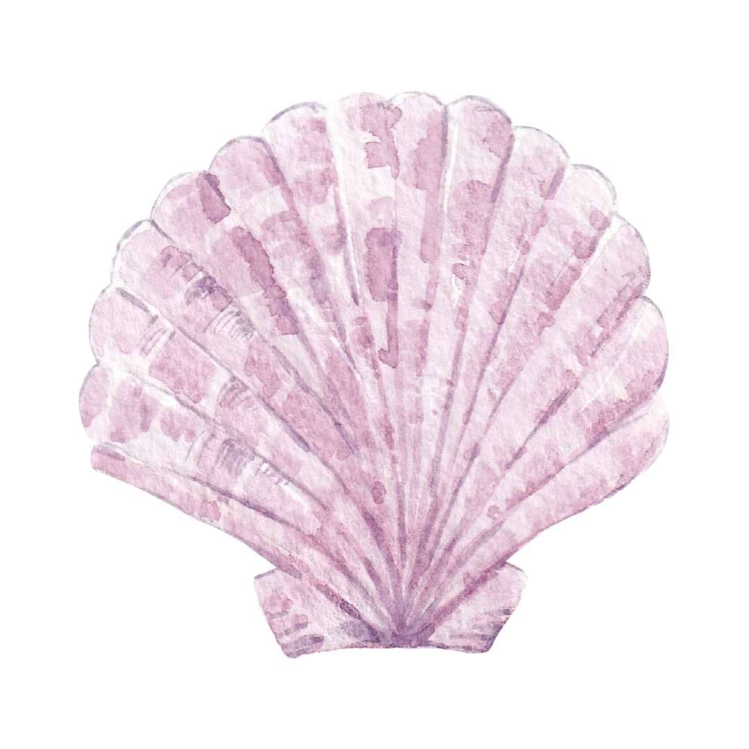 Watercolor illustration of a pink seashell.
