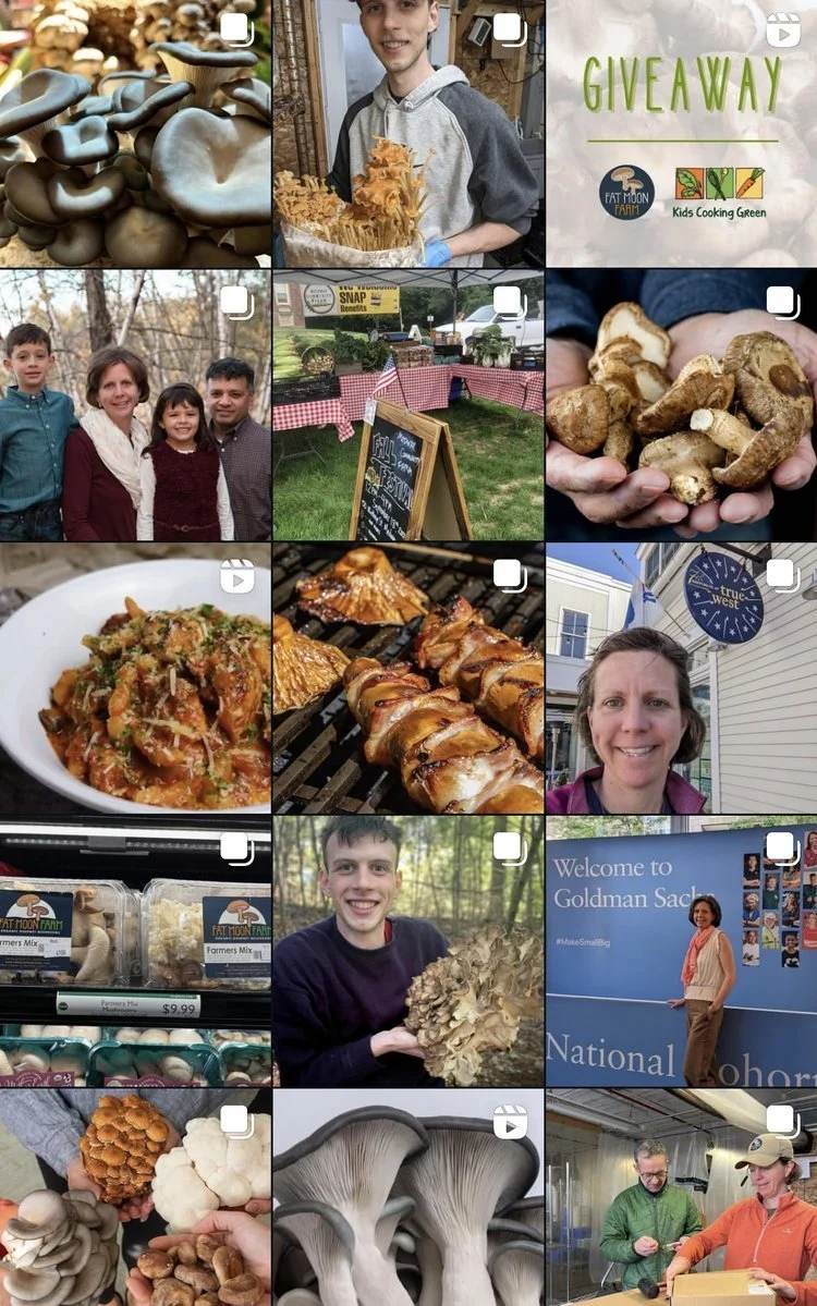 A collage of images including mushrooms, a smiling young man at a pastry stand, a giveaway sign for Kids Cooking Green, a family, an outdoor market booth, a person holding mushrooms, a bowl of pasta, grilled food, a woman outside a shop, a person holding a large mushroom, a woman at a fair, mushroom shelves, several types of mushrooms, and two people in a food production area.
