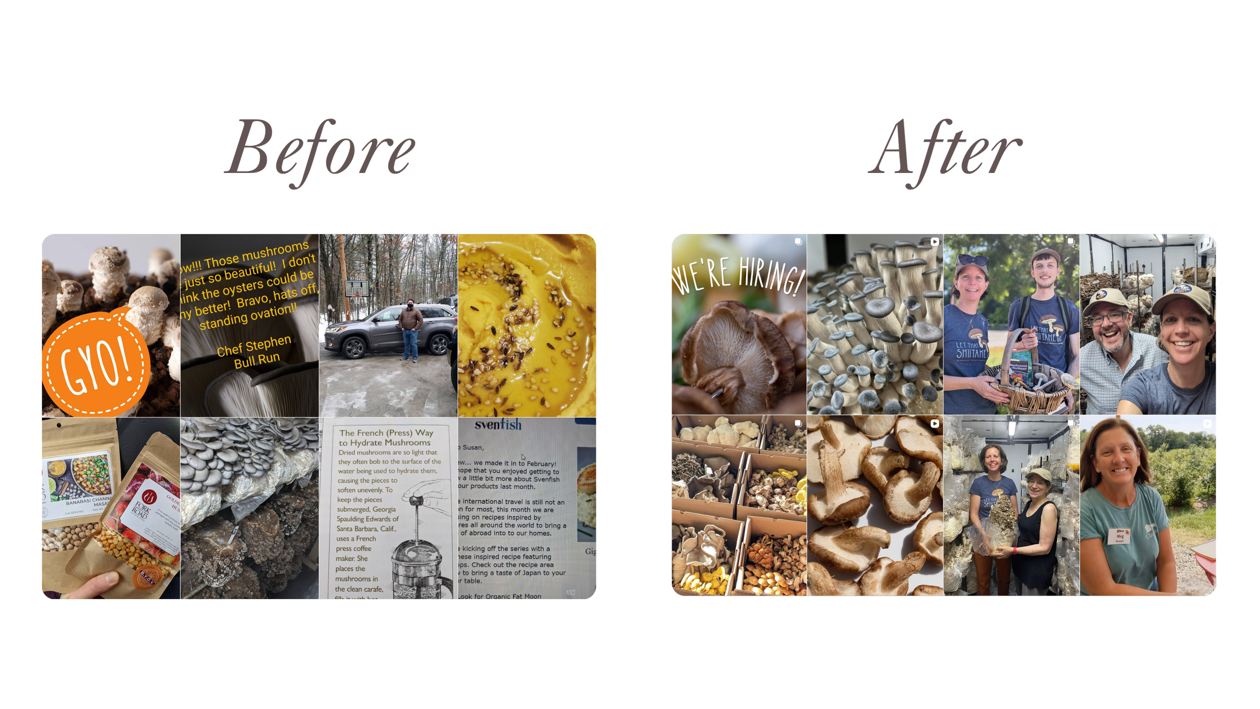 Collage of photos showing mushrooms, people at a mushroom farm, mushroom products, and people smiling, with text about mushrooms and a hiring announcement.