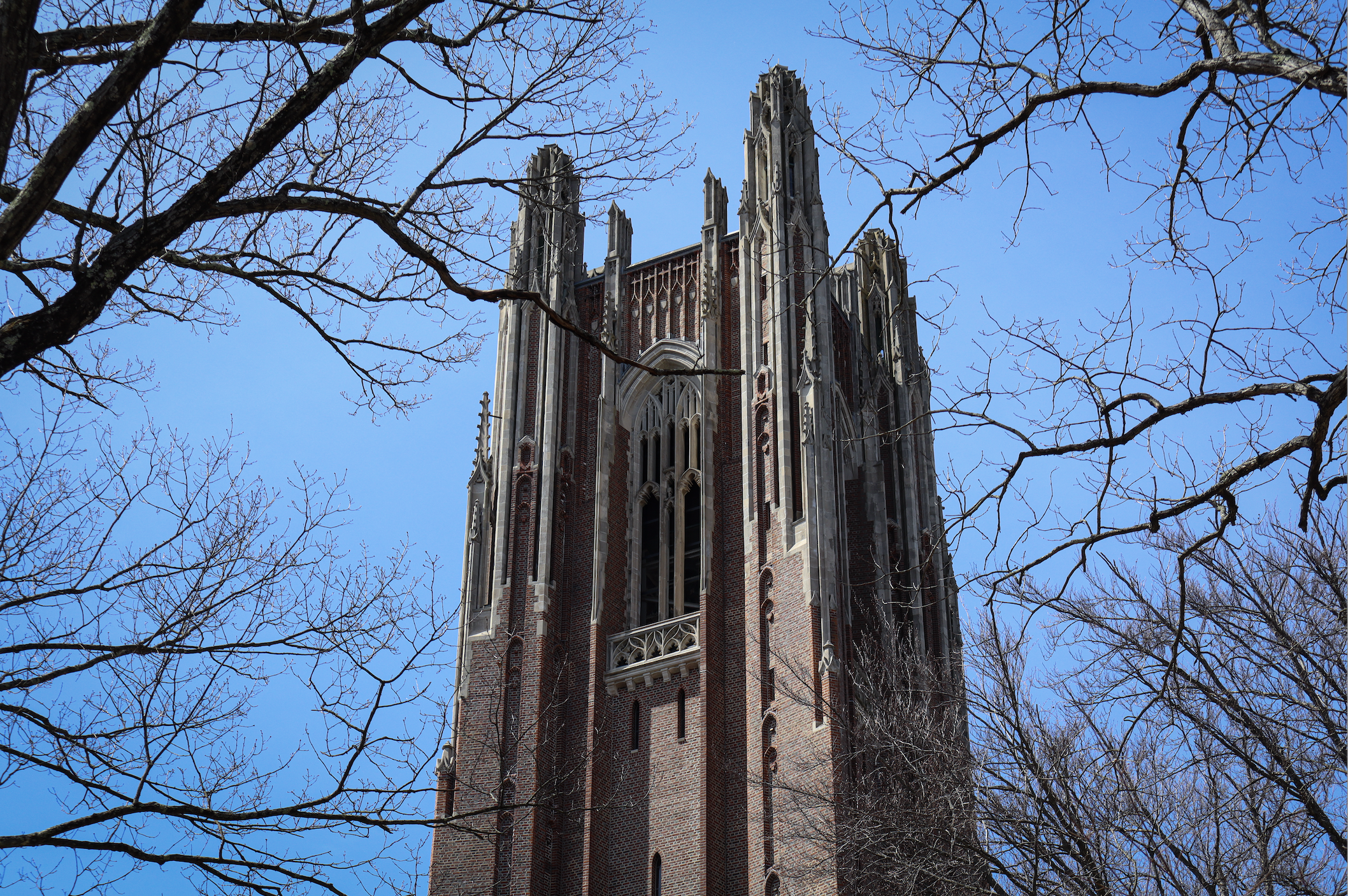 A tall, historic brick Gothic-style tower with pointed arches and decorative stonework, framed by leafless tree branches against a bright blue sky.