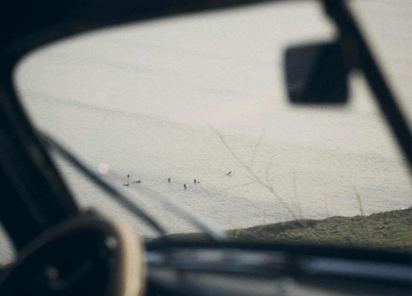 View through a helicopter window showing five whales swimming in the ocean near the shore