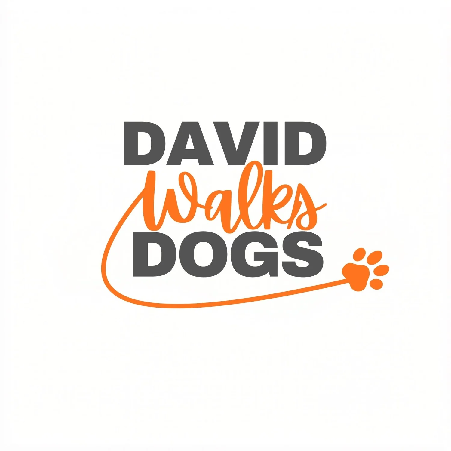 David Walks Dogs