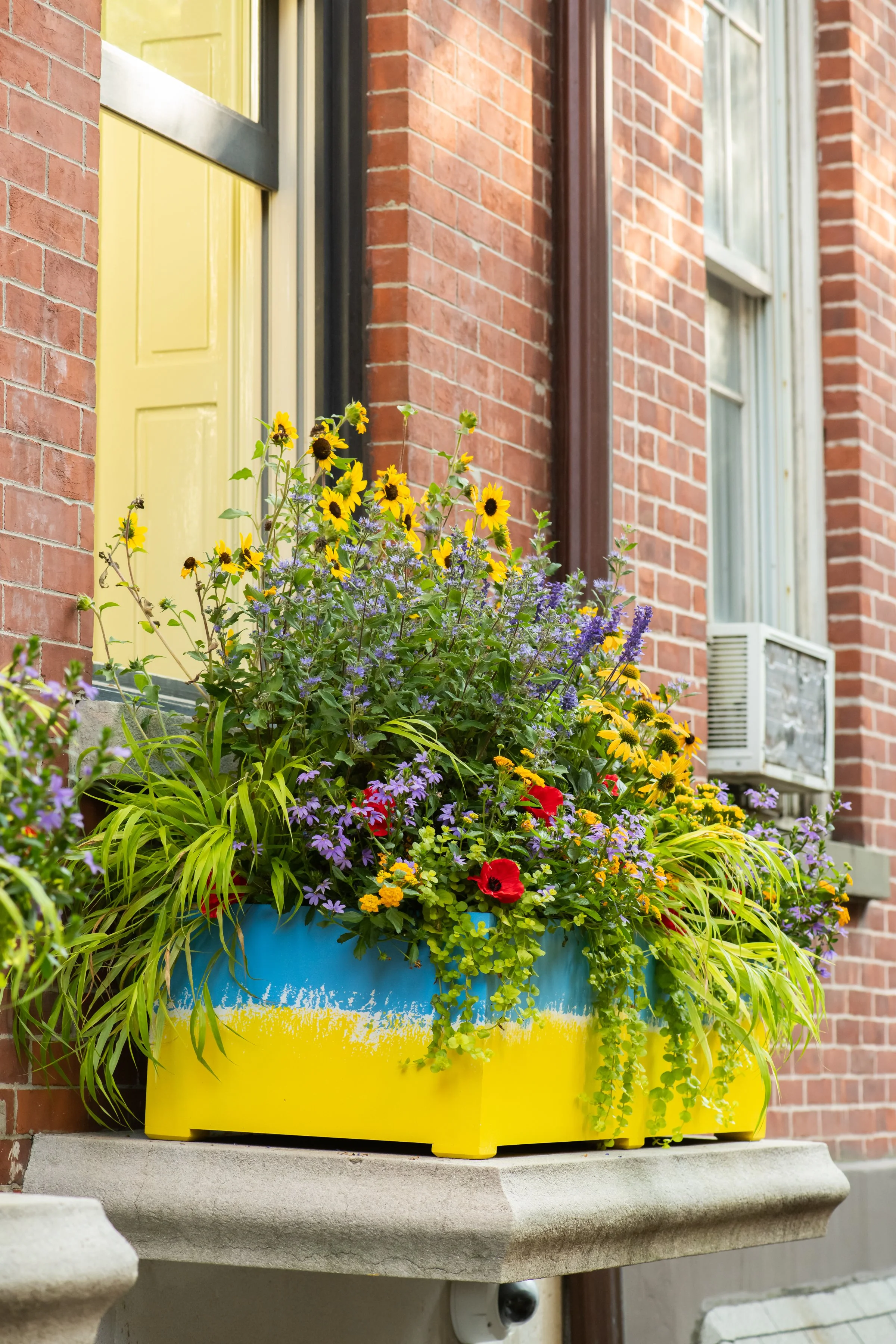 Brooklyn Heights Gardens