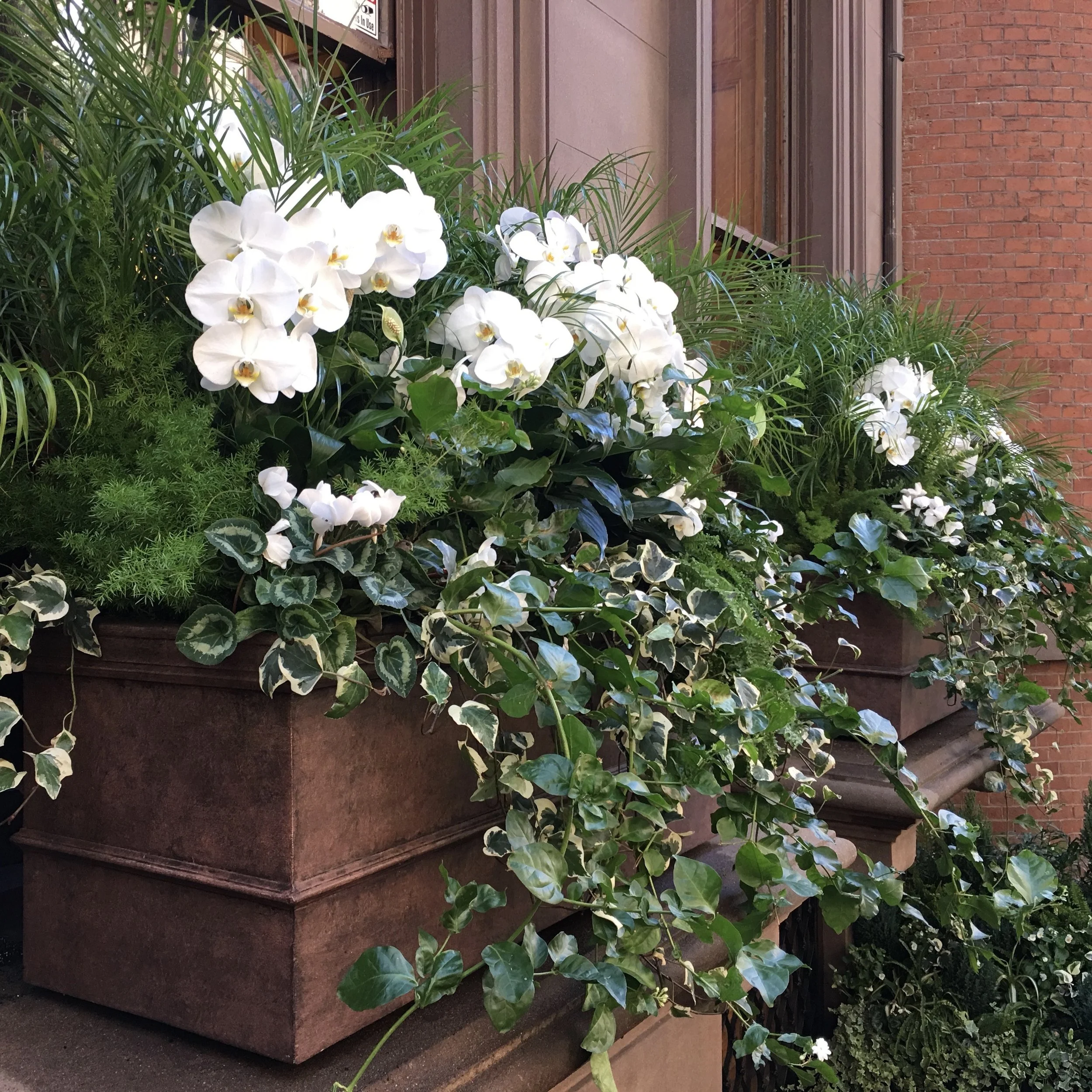 Brooklyn Heights Gardens