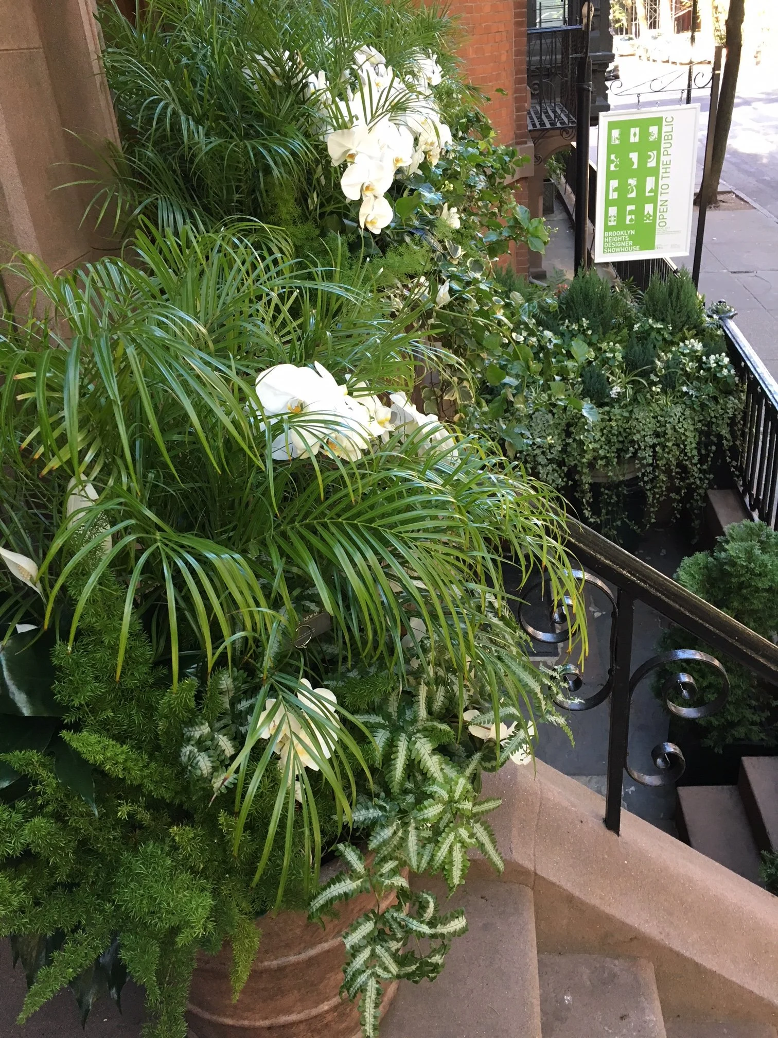 Plants and trash.JPG