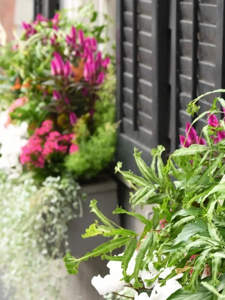 Brooklyn Heights Gardens