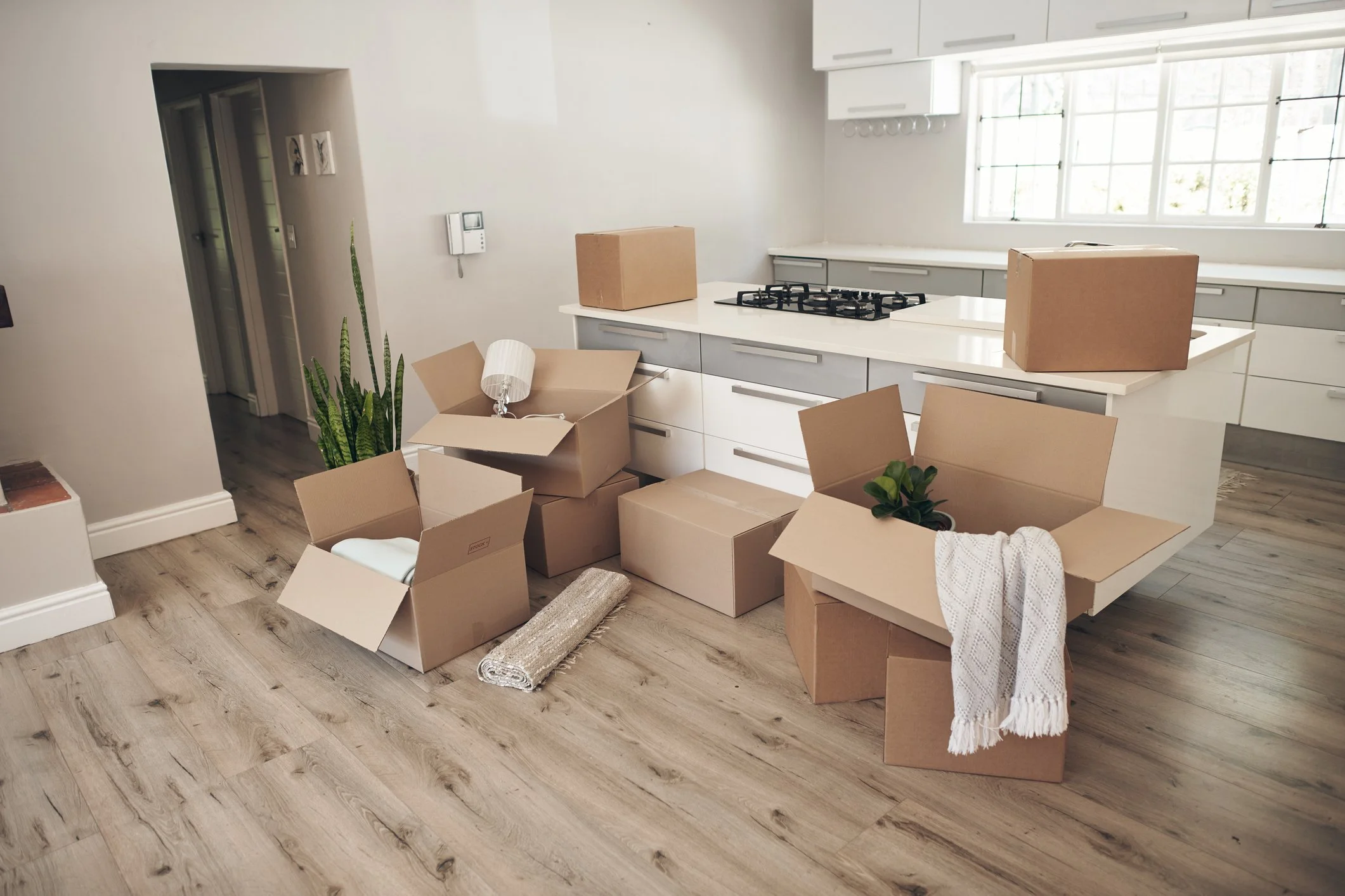 empty kitchen with moving boxes for adults learning to cook independently