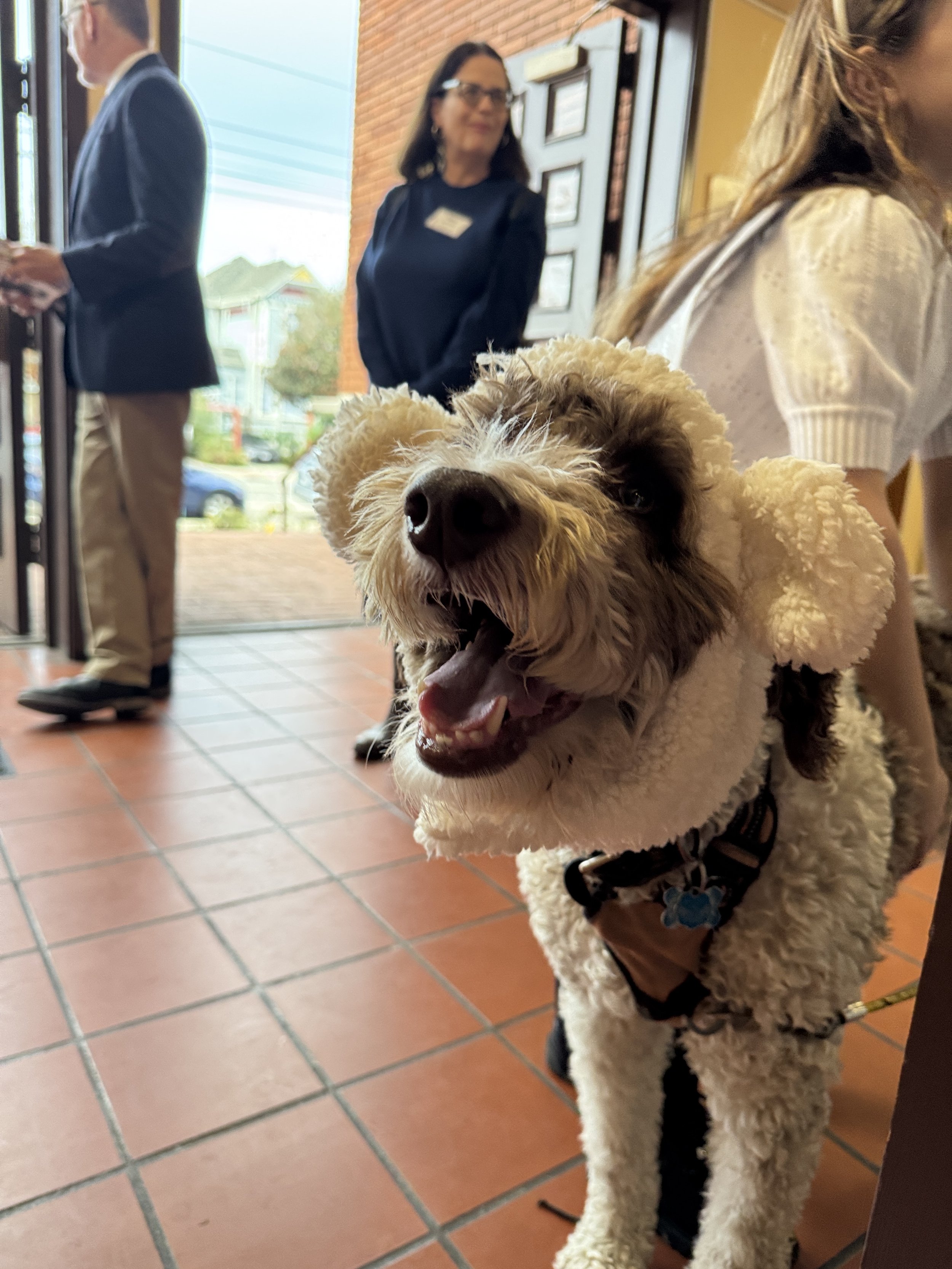 A happy dog with fluffy white and brown fur wearing a fleece sweater, being held by a person in a restaurant or cafe. In the background, a woman with glasses and a navy top stands near the entrance, while a man in a suit is near the door, and another woman with long hair is partially visible.
