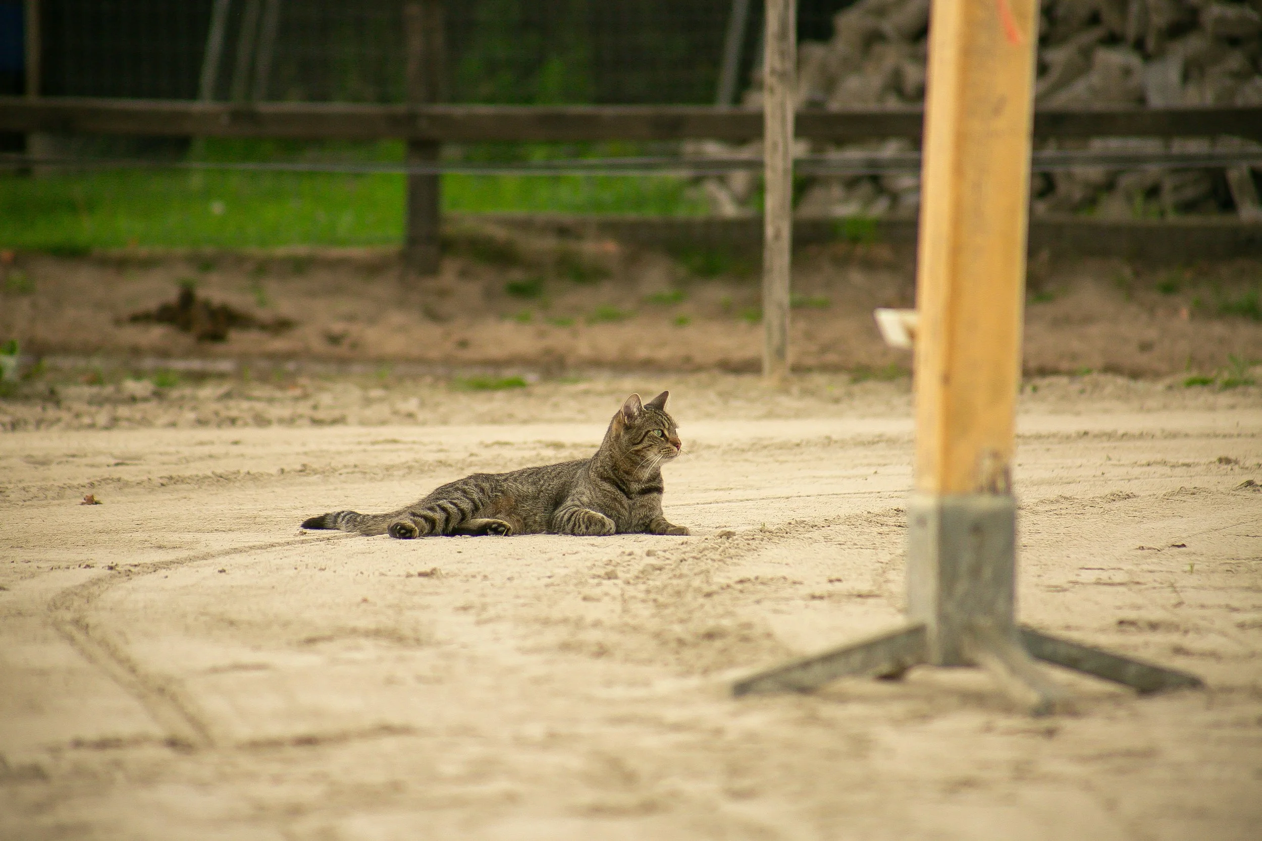 E46A6351.jpg