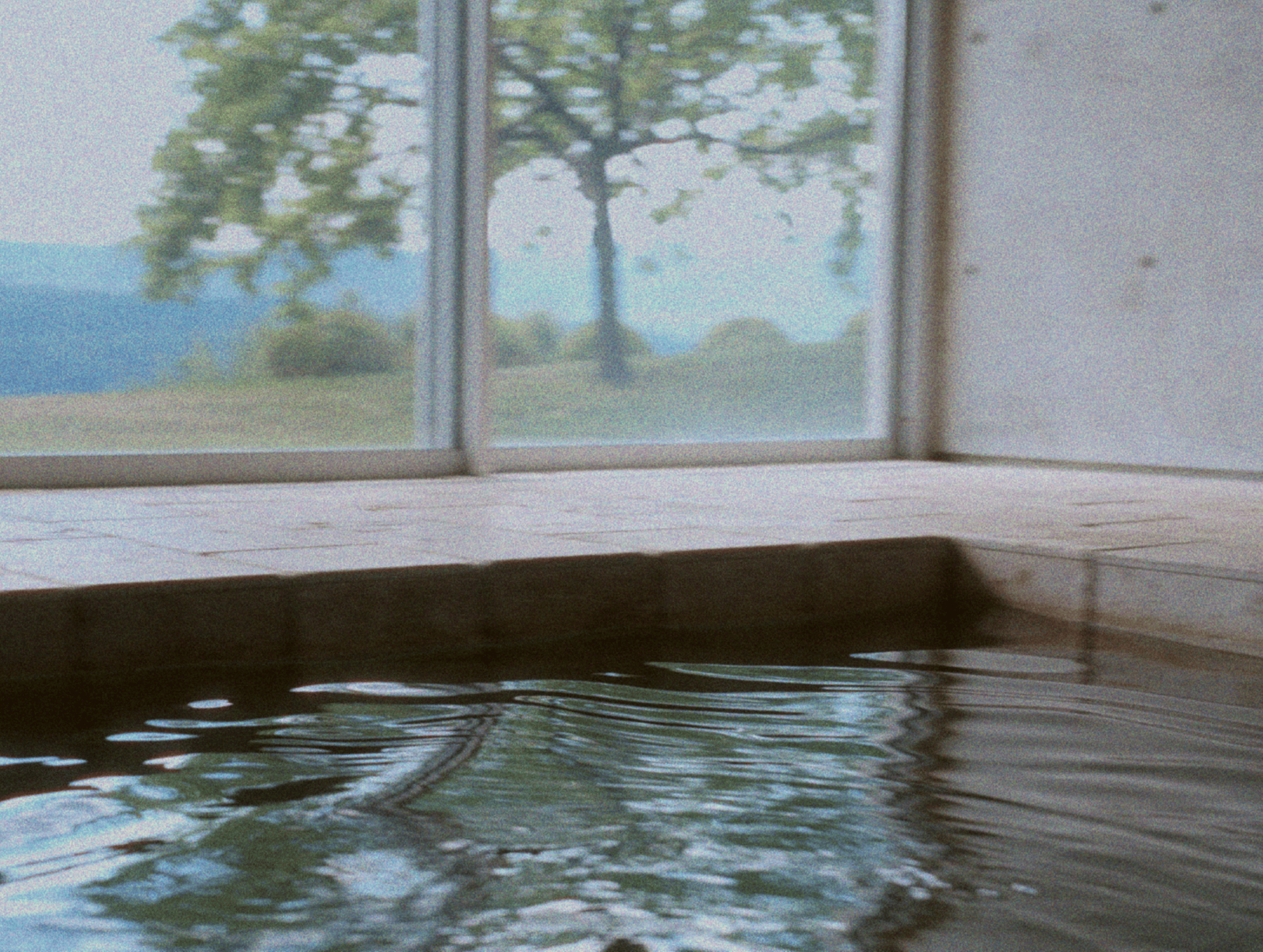 Indoor hot tub with water, next to a large window showing a view of lush green trees and distant mountains.
