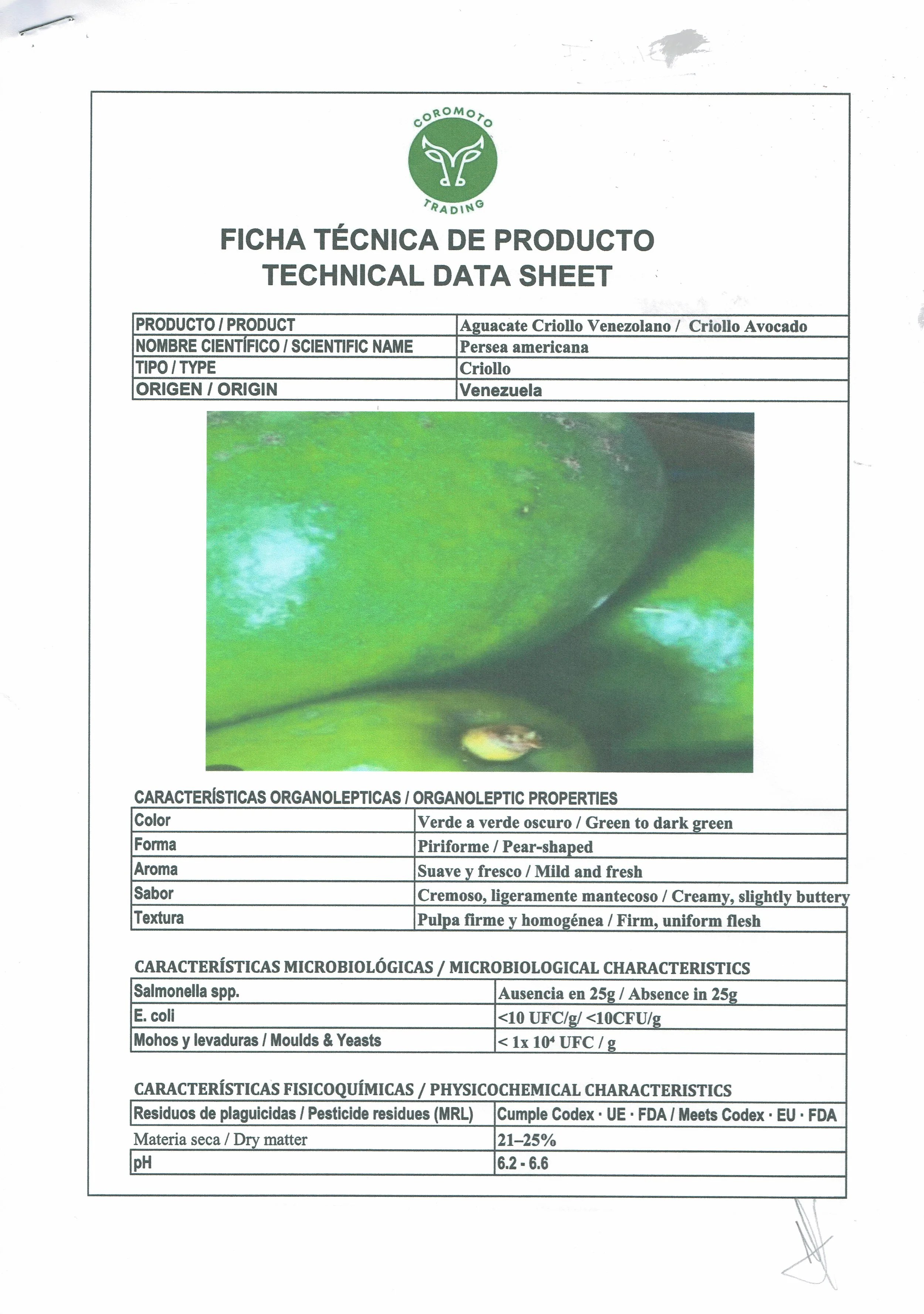 Technical data sheet for Persea americana (avocado) with a close-up of an avocado fruit image.