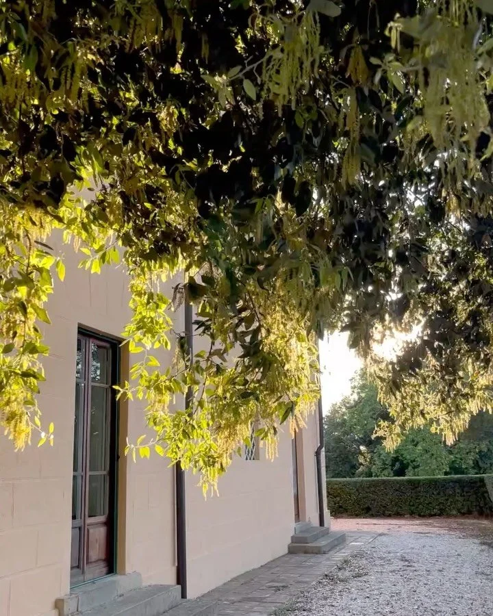 Whispers of nature 🌱

During my residency at Villa Lena, I had the rare gift of time to slow down, observe and immerse myself in the rhythms of nature.

I put some of those moments into words &mdash; a reflection on stillness, creativity, and what n