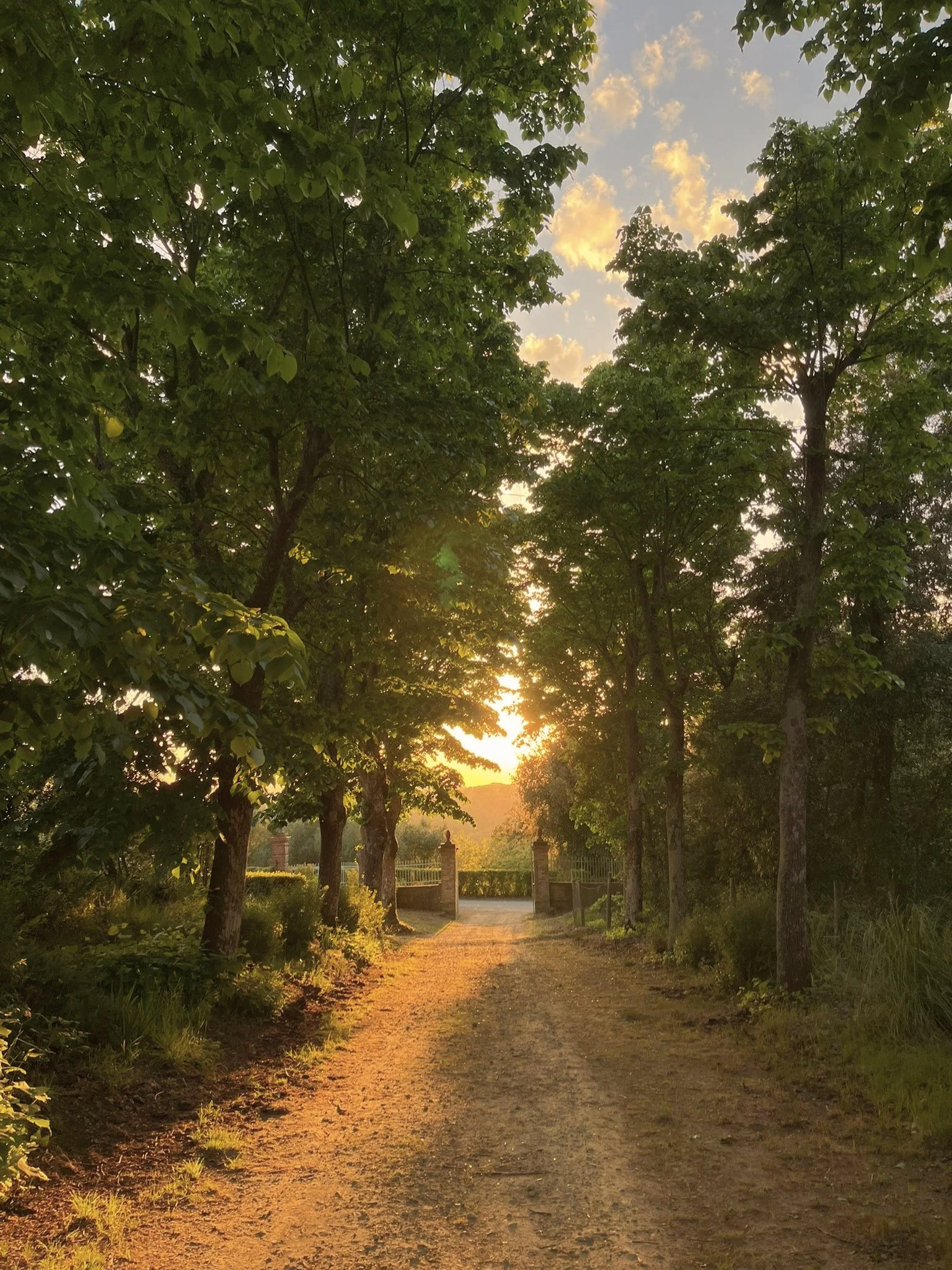 outdoor.jpg