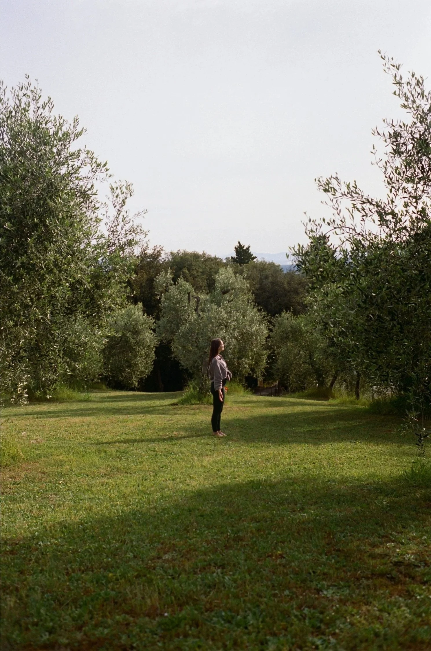 A woman stands alone on a grassy area surrounded by trees, with a cloudy sky above and mountains in the distance.