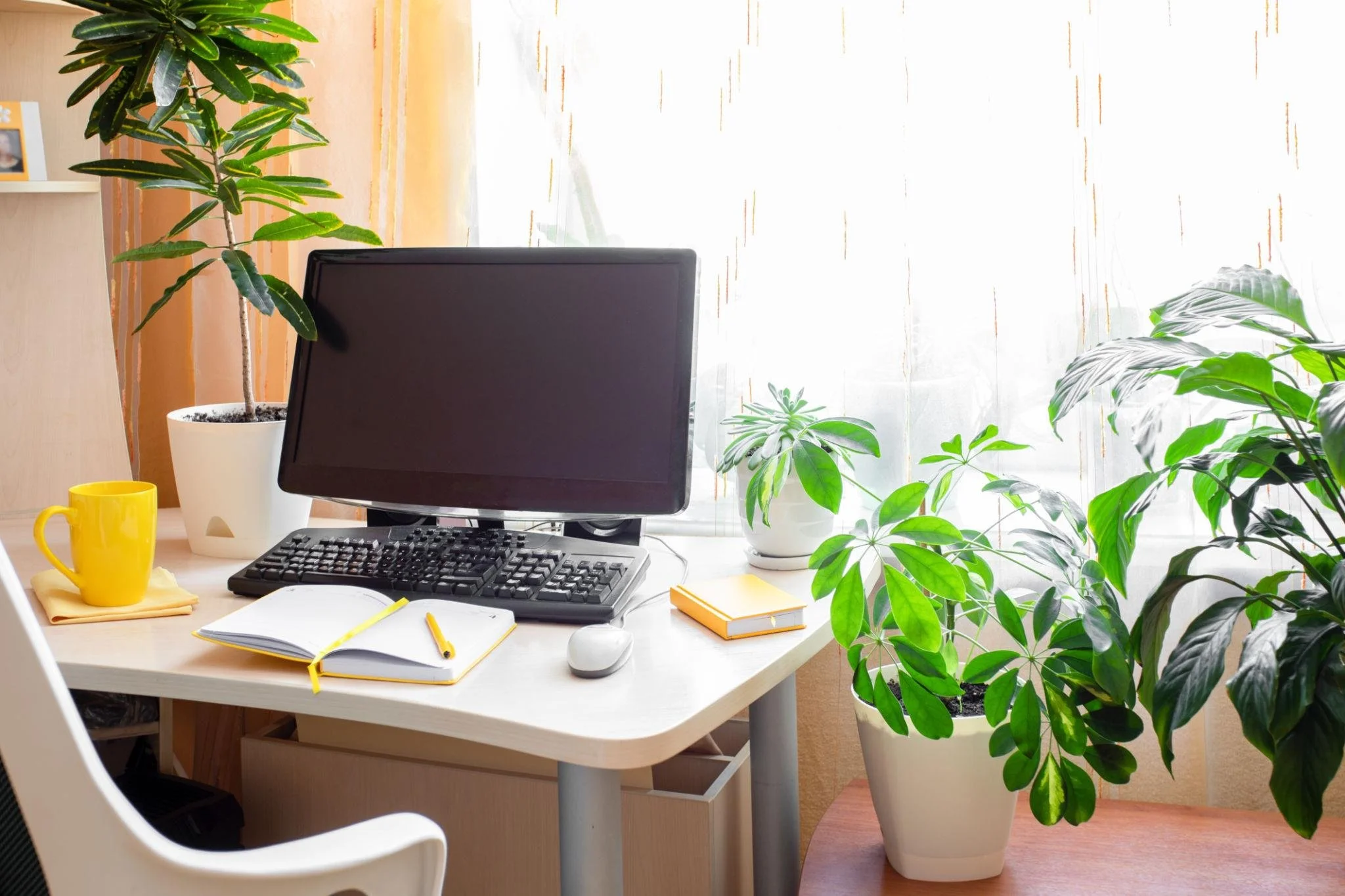 A workspace with a computer monitor, keyboard, and mouse on a white desk. There are notebooks, a yellow mug, and a yellow notepad arranged on the desk. Green houseplants and a window with sheer curtains are in the background, letting natural light into the room.