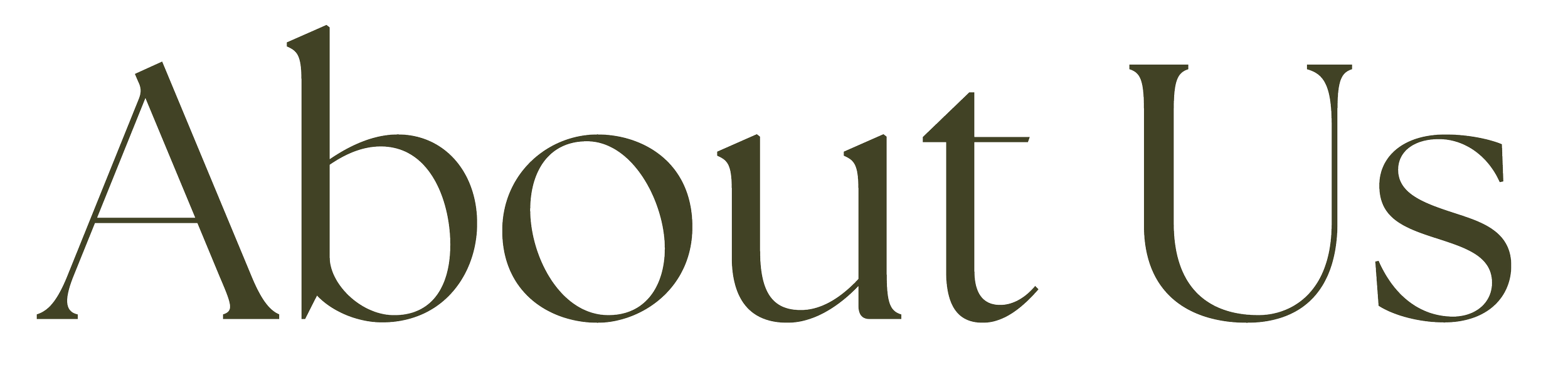 The word 'About Us' written in large, stylized black font.