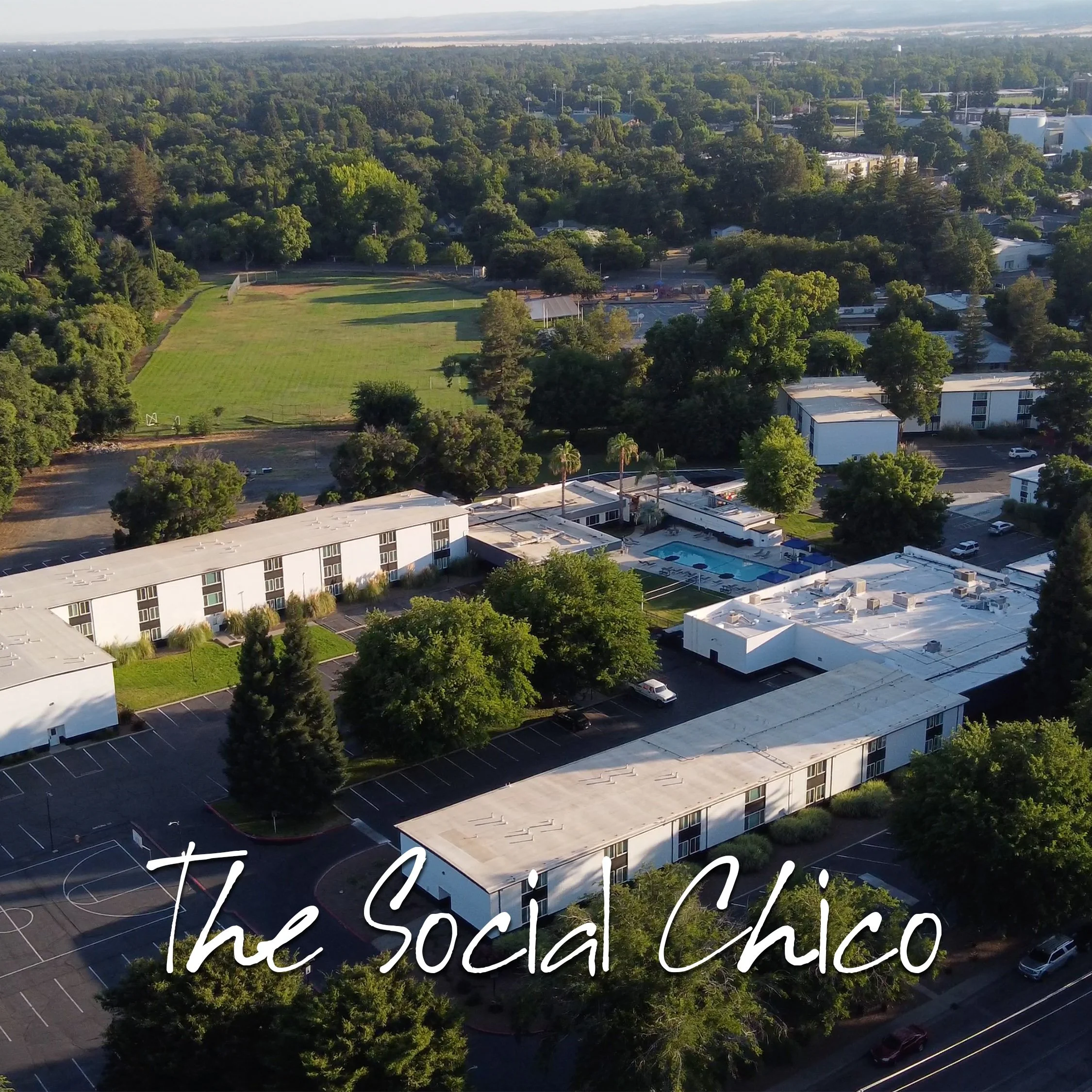 The Social chico.jpg