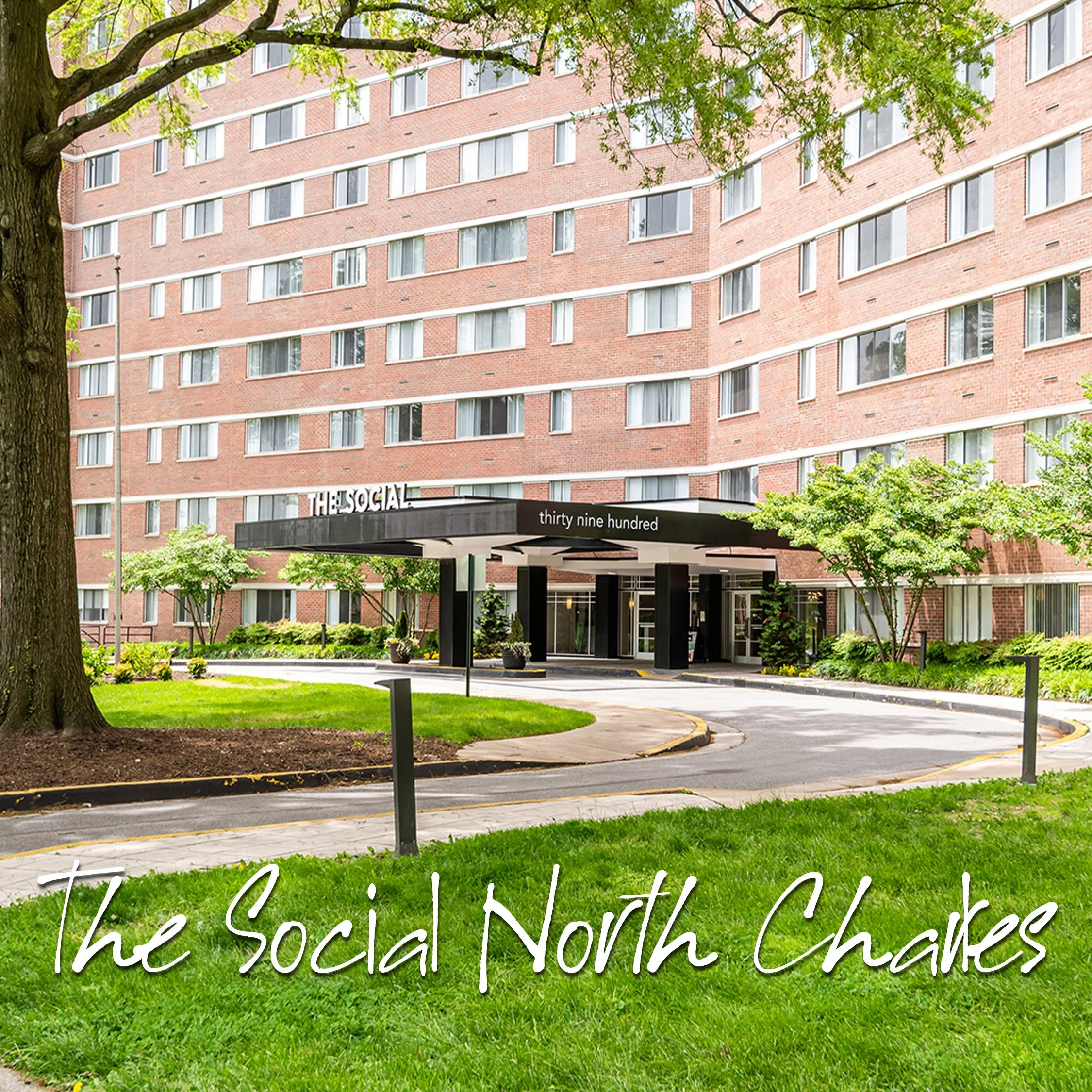 The Social North Charles.jpg