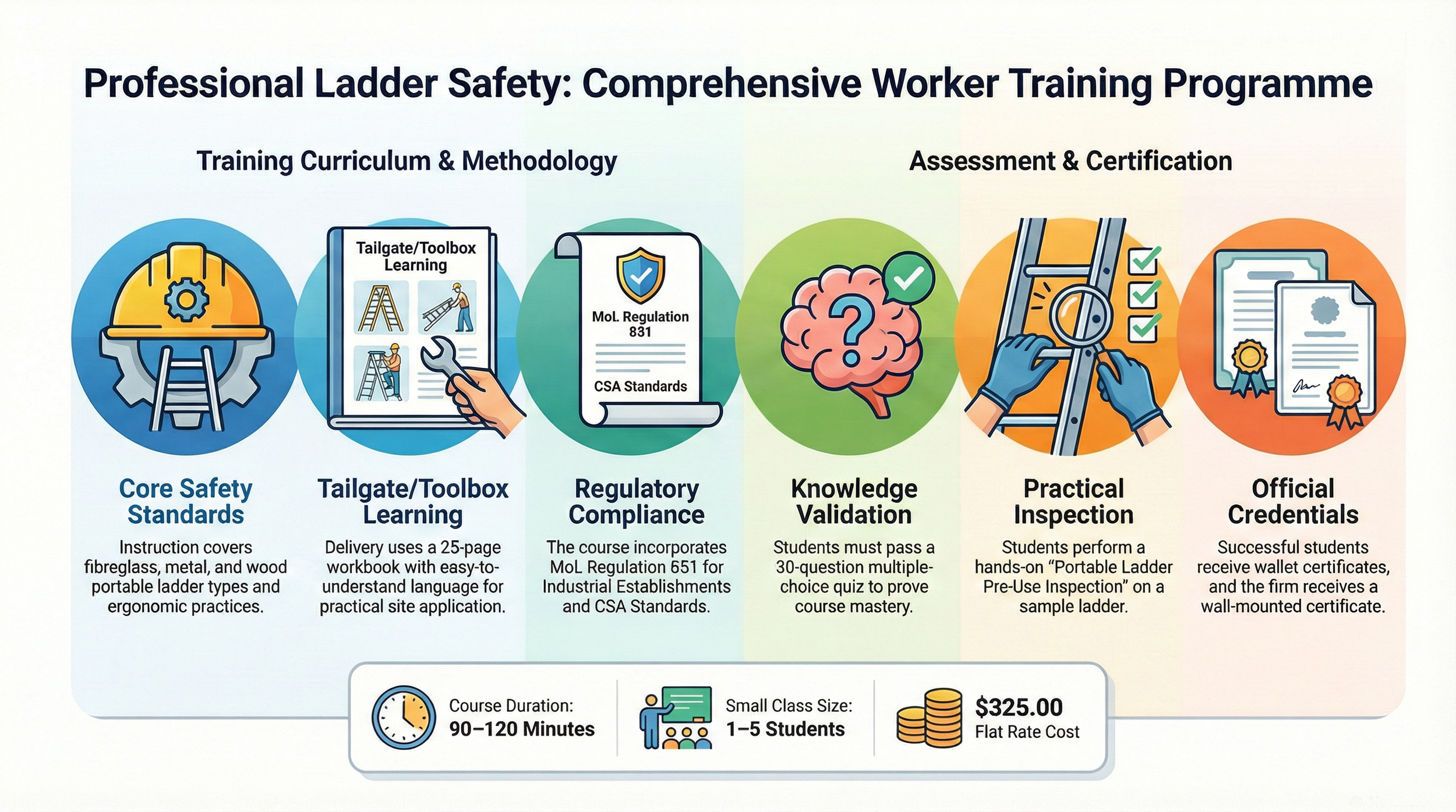 Professional Ladder Safety Training Programme.png