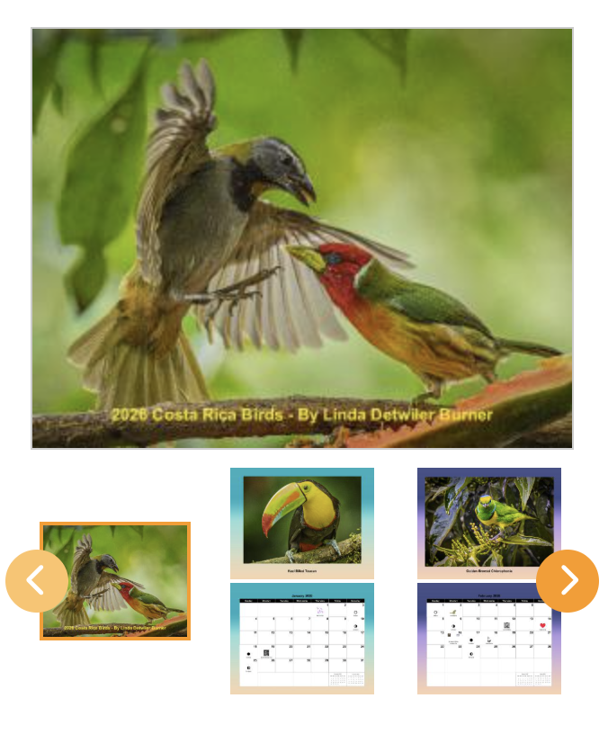 Wildlife photography 2026 calendar featuring colorful Costa Rica birds captured by Linda Detwiler Burner.