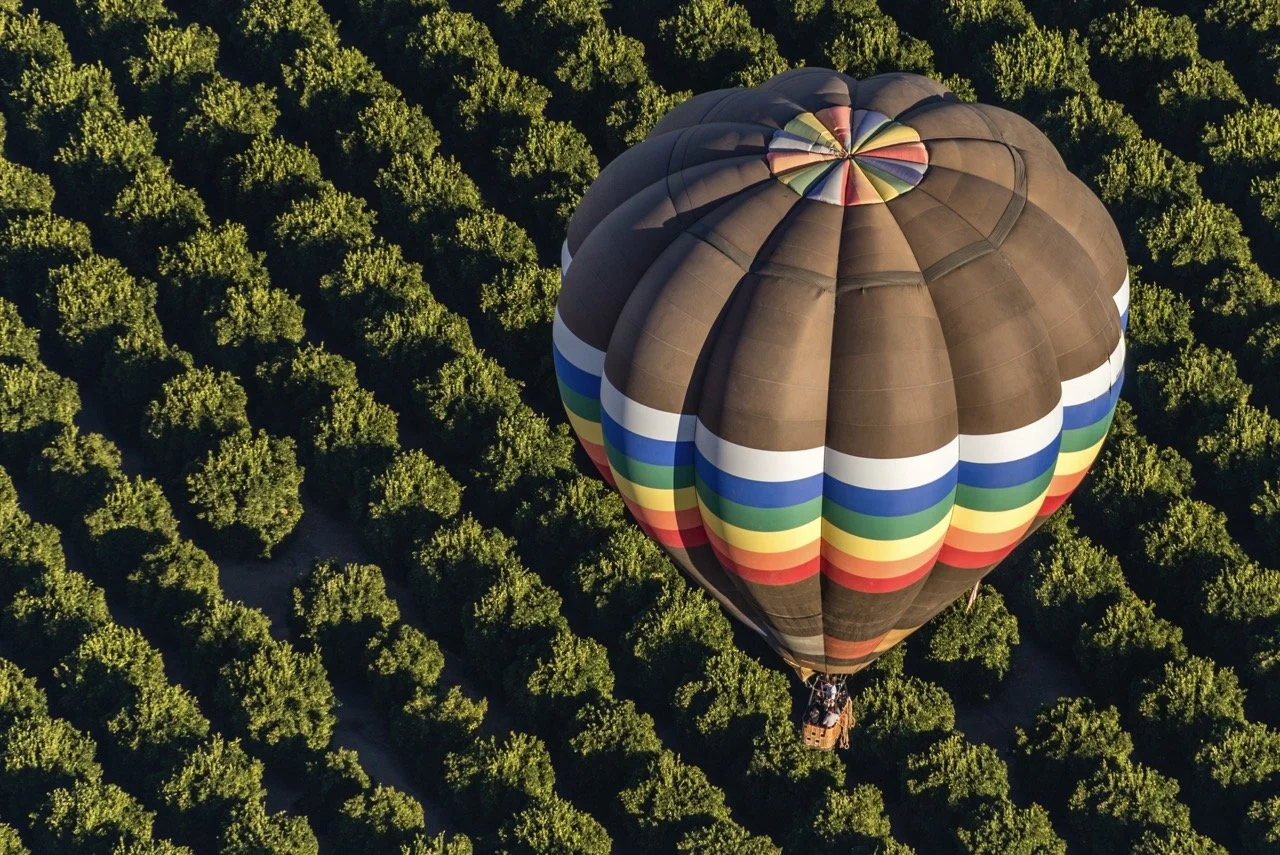 HA Balloon flying above balloon-8124 Large.jpeg