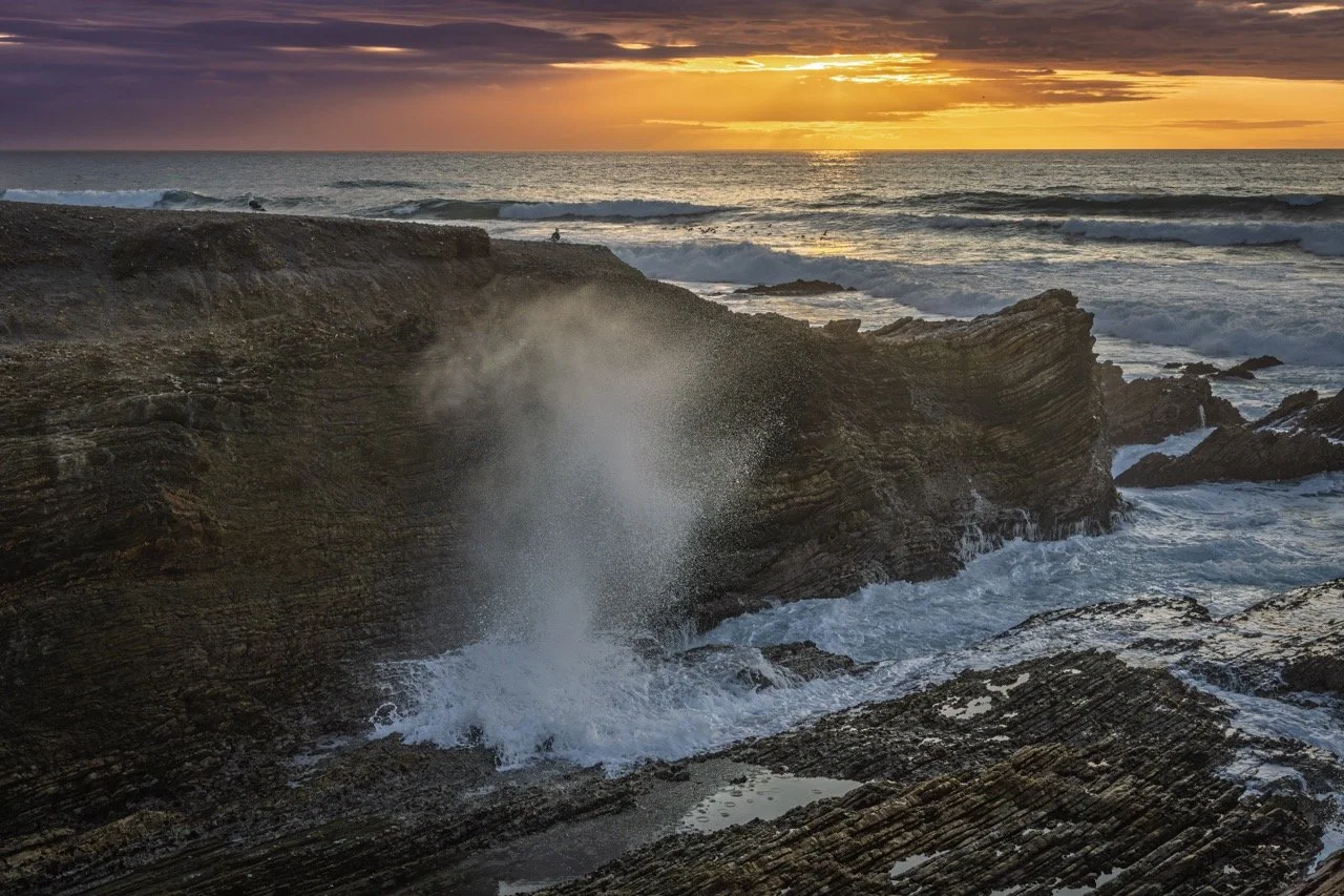 Sunset ocean spray MDO- Large.jpeg